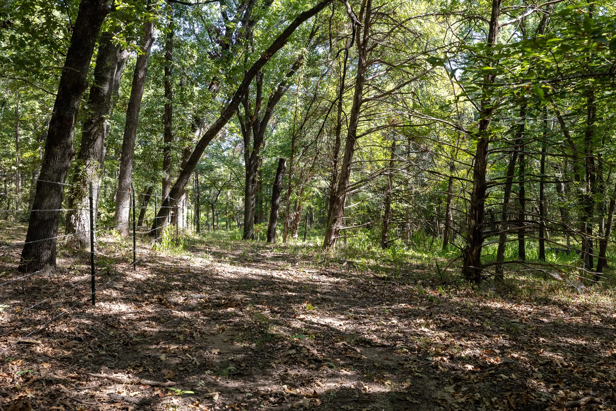 Unimproved Land For Sale in Grayson County , TBD Richards Road, Sadler, Texas 76264, 0, 0, Garage spaces, 0 Sqft, built in 0, mls#21404431, Real Estate Agent in Sadler, Homes For Sale in Grayson county, Homes For Sale in Sadler, Realtor in Sadler Texas, Real Estate Brokerage Independent Realty Texas, Luminita Cordes Realtor
