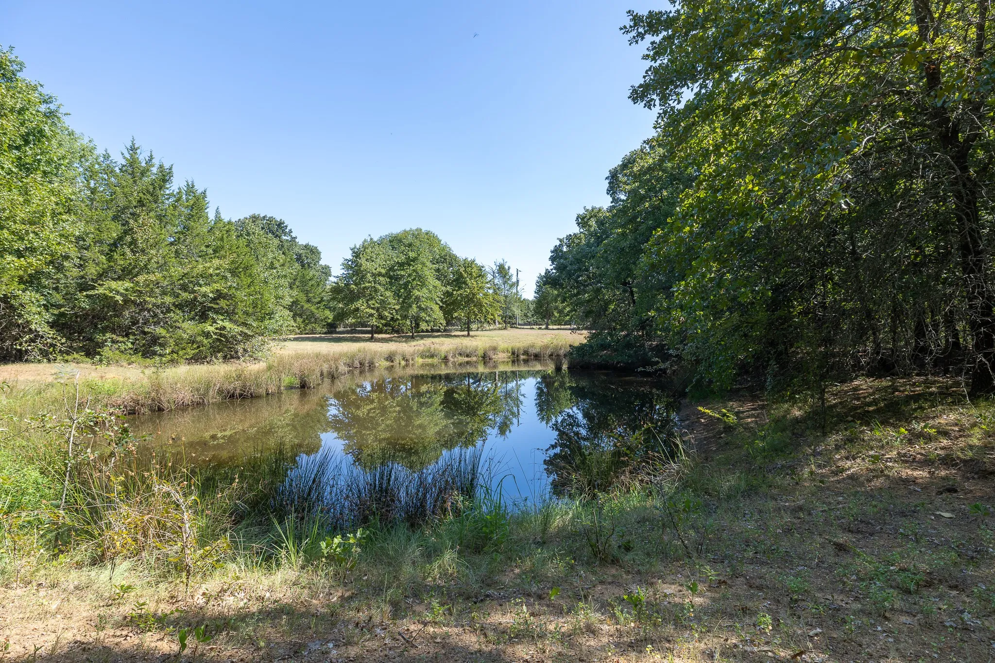 Pond 1