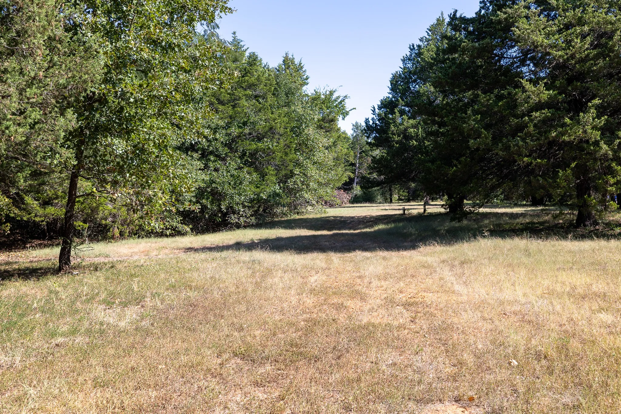 Unimproved Land For Sale in Grayson County , TBD Richards Road, Sadler, Texas 76264, 0, 0, Garage spaces, 0 Sqft, built in 0, mls#21404431, Real Estate Agent in Sadler, Homes For Sale in Grayson county, Homes For Sale in Sadler, Realtor in Sadler Texas, Real Estate Brokerage Independent Realty Texas, Luminita Cordes Realtor