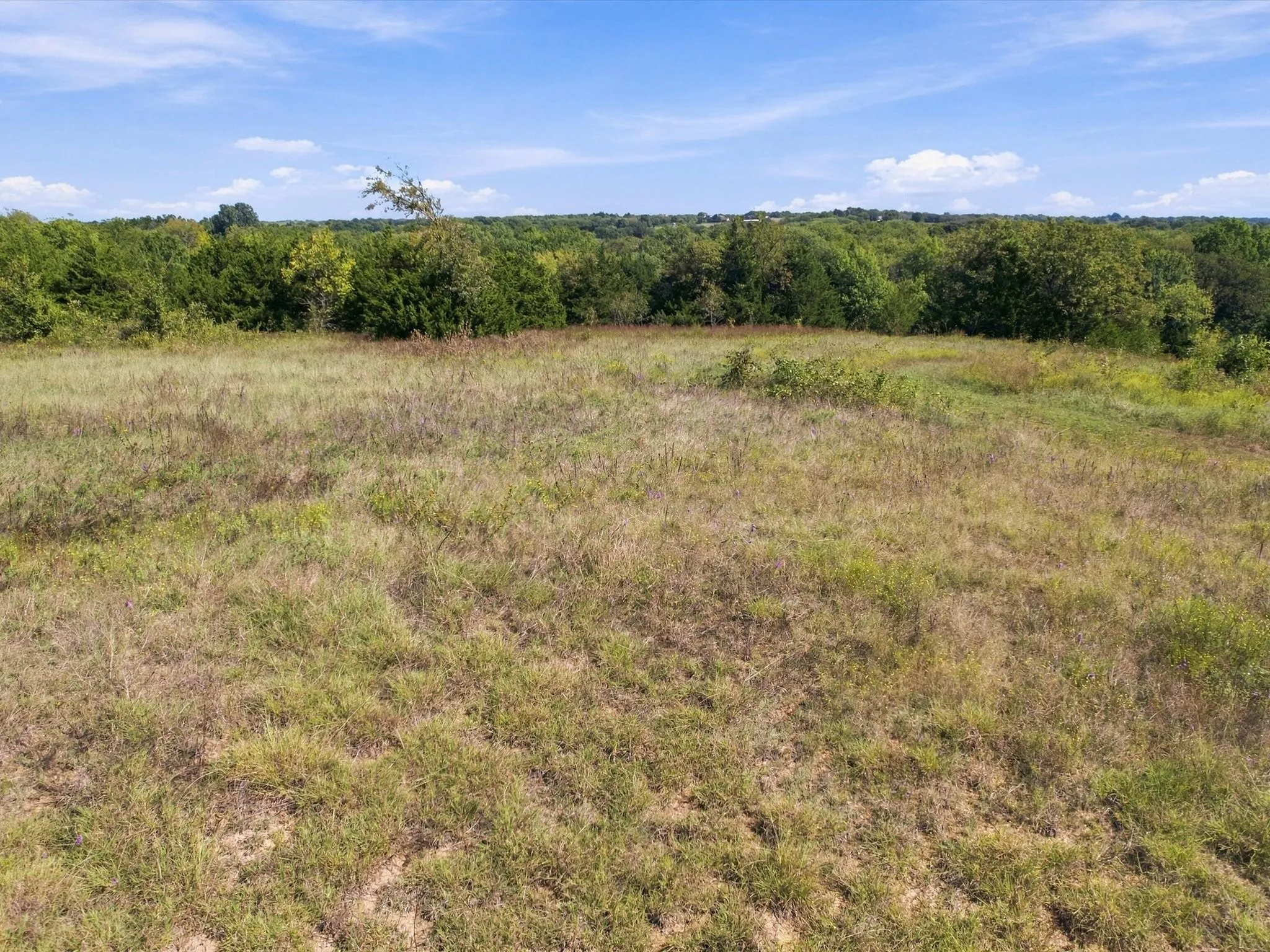 Unimproved Land For Sale in Grayson County , 828 Blanton Hill Road, Whitewright, Texas 75491, 0, 0, Garage spaces, 0 Sqft, built in 0, mls#21406189, Real Estate Agent in Whitewright, Homes For Sale in Grayson county, Homes For Sale in Whitewright, Realtor in Whitewright Texas, Real Estate Brokerage Independent Realty Texas, Luminita Cordes Realtor