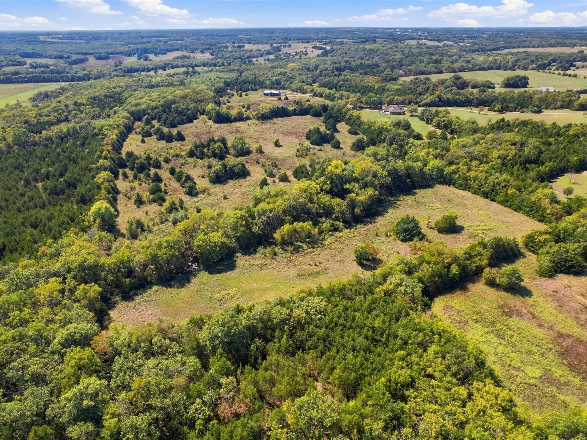 Unimproved Land For Sale in Grayson County , 828 Blanton Hill Road, Whitewright, Texas 75491, 0, 0, Garage spaces, 0 Sqft, built in 0, mls#21406189, Real Estate Agent in Whitewright, Homes For Sale in Grayson county, Homes For Sale in Whitewright, Realtor in Whitewright Texas, Real Estate Brokerage Independent Realty Texas, Luminita Cordes Realtor
