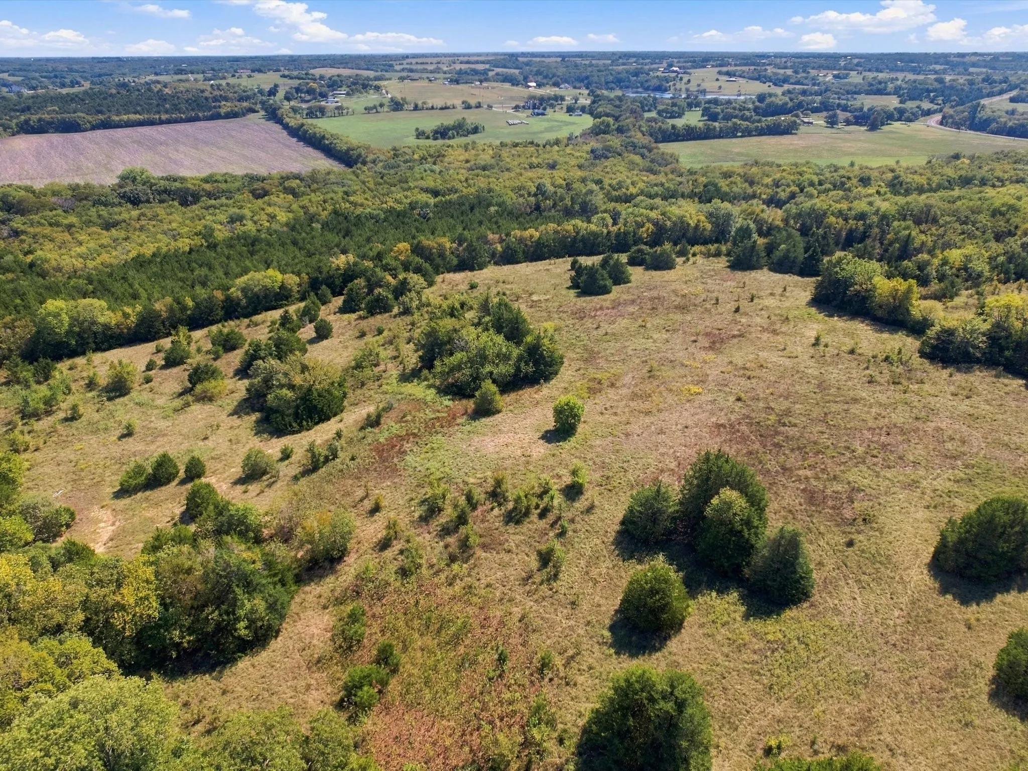 Unimproved Land For Sale in Grayson County , 828 Blanton Hill Road, Whitewright, Texas 75491, 0, 0, Garage spaces, 0 Sqft, built in 0, mls#21406189, Real Estate Agent in Whitewright, Homes For Sale in Grayson county, Homes For Sale in Whitewright, Realtor in Whitewright Texas, Real Estate Brokerage Independent Realty Texas, Luminita Cordes Realtor