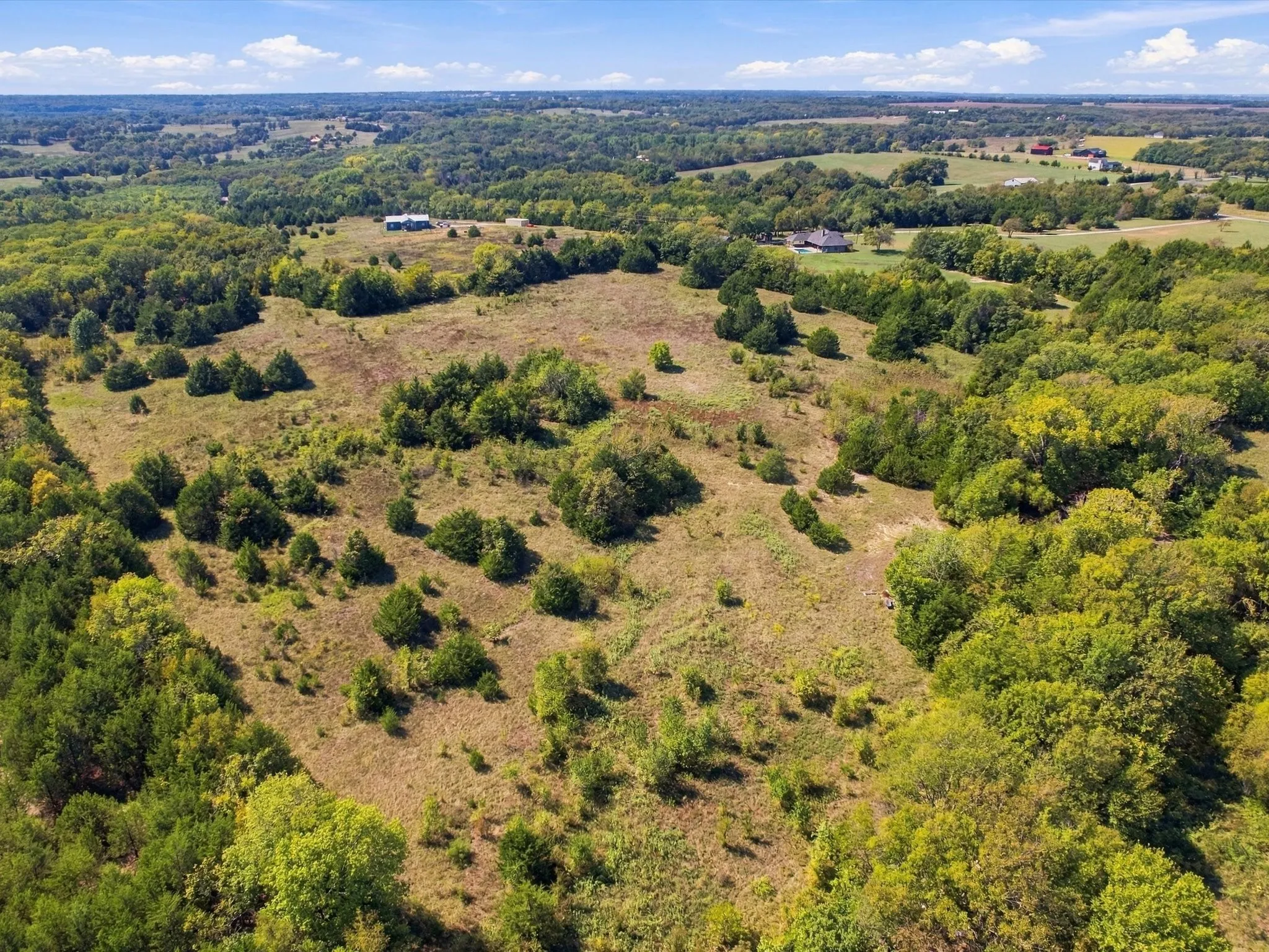 Unimproved Land For Sale in Grayson County , 828 Blanton Hill Road, Whitewright, Texas 75491, 0, 0, Garage spaces, 0 Sqft, built in 0, mls#21406189, Real Estate Agent in Whitewright, Homes For Sale in Grayson county, Homes For Sale in Whitewright, Realtor in Whitewright Texas, Real Estate Brokerage Independent Realty Texas, Luminita Cordes Realtor