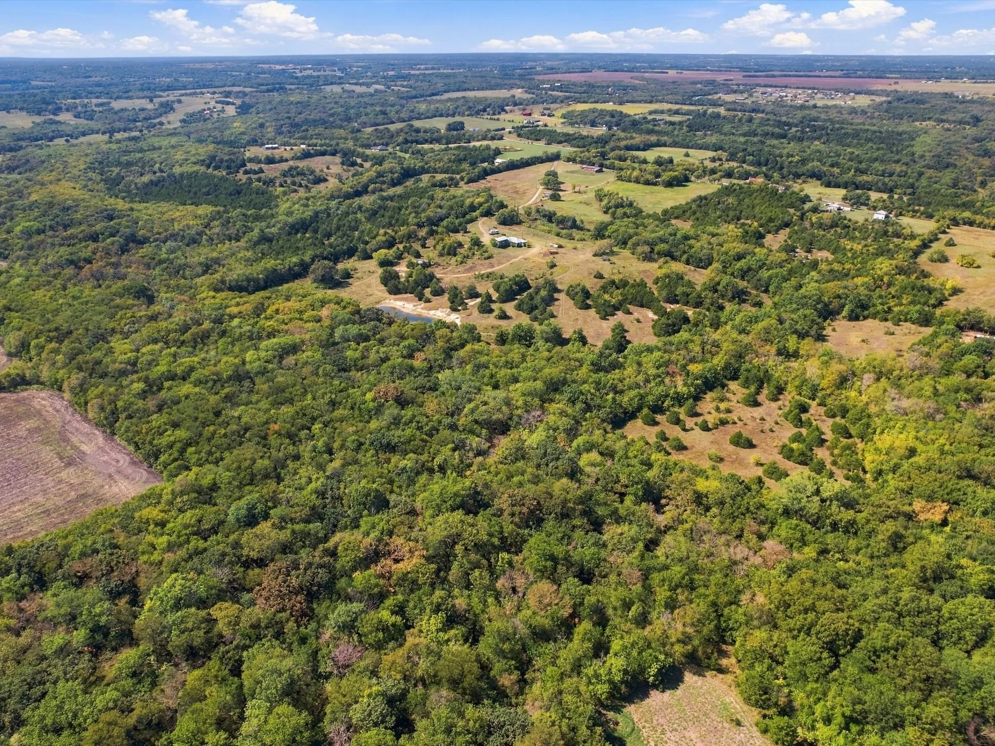 Unimproved Land For Sale in Grayson County , 828 Blanton Hill Road, Whitewright, Texas 75491, 0, 0, Garage spaces, 0 Sqft, built in 0, mls#21406189, Real Estate Agent in Whitewright, Homes For Sale in Grayson county, Homes For Sale in Whitewright, Realtor in Whitewright Texas, Real Estate Brokerage Independent Realty Texas, Luminita Cordes Realtor