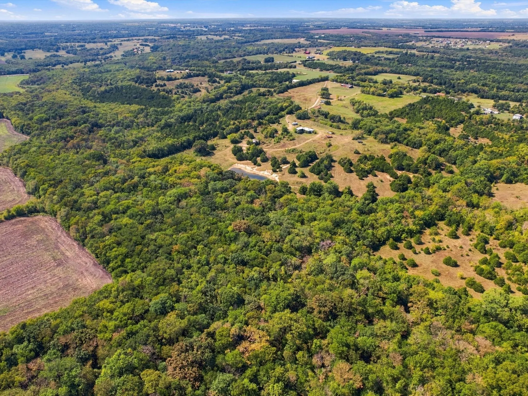 Unimproved Land For Sale in Grayson County , 828 Blanton Hill Road, Whitewright, Texas 75491, 0, 0, Garage spaces, 0 Sqft, built in 0, mls#21406189, Real Estate Agent in Whitewright, Homes For Sale in Grayson county, Homes For Sale in Whitewright, Realtor in Whitewright Texas, Real Estate Brokerage Independent Realty Texas, Luminita Cordes Realtor
