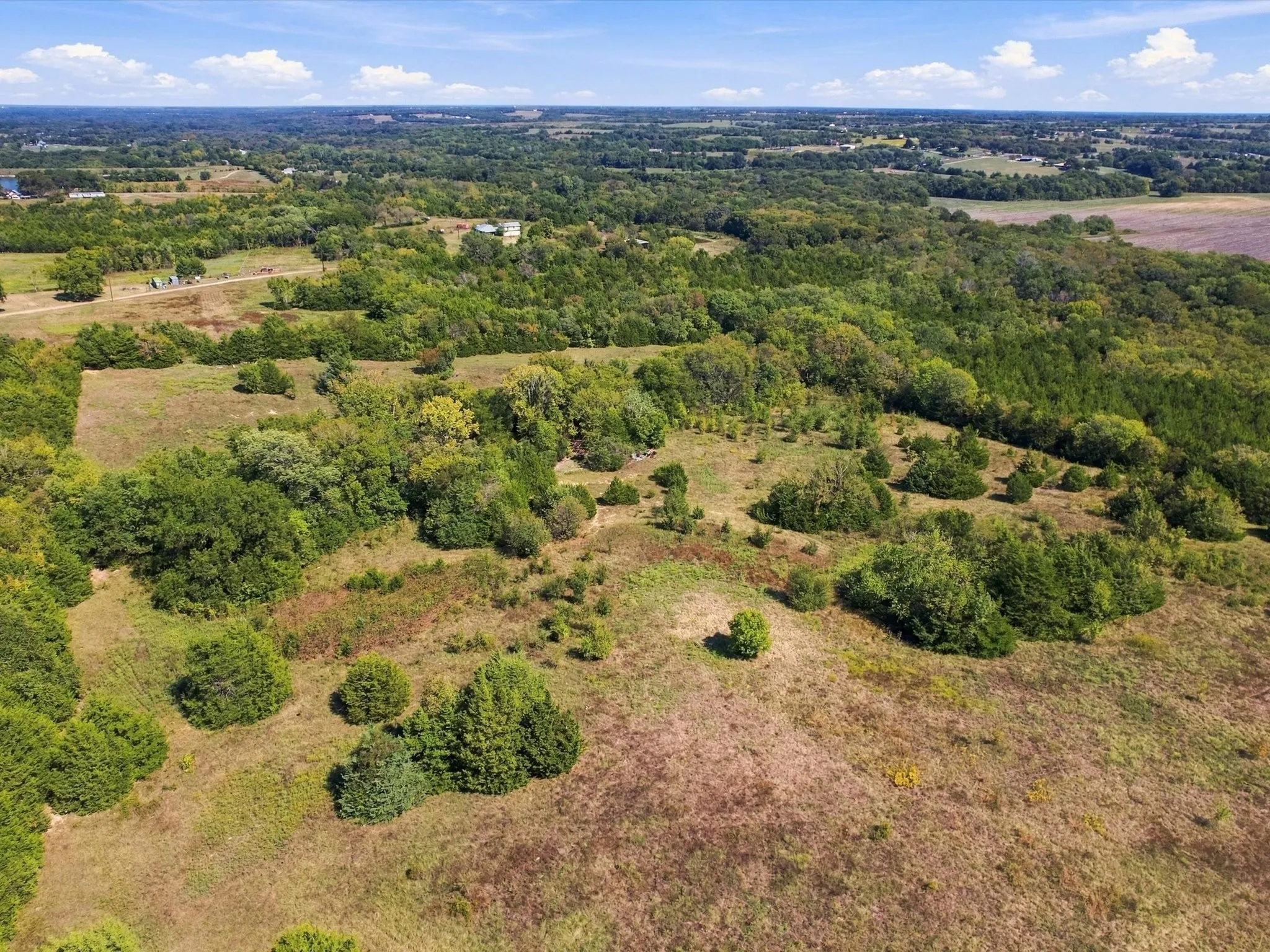 Unimproved Land For Sale in Grayson County , 828 Blanton Hill Road, Whitewright, Texas 75491, 0, 0, Garage spaces, 0 Sqft, built in 0, mls#21406189, Real Estate Agent in Whitewright, Homes For Sale in Grayson county, Homes For Sale in Whitewright, Realtor in Whitewright Texas, Real Estate Brokerage Independent Realty Texas, Luminita Cordes Realtor