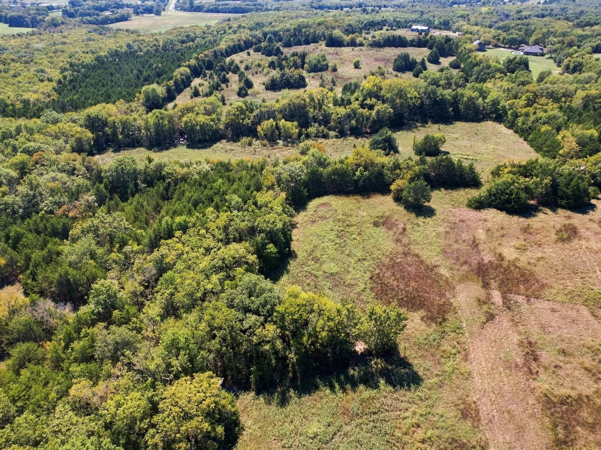 Unimproved Land For Sale in Grayson County , 828 Blanton Hill Road, Whitewright, Texas 75491, 0, 0, Garage spaces, 0 Sqft, built in 0, mls#21406189, Real Estate Agent in Whitewright, Homes For Sale in Grayson county, Homes For Sale in Whitewright, Realtor in Whitewright Texas, Real Estate Brokerage Independent Realty Texas, Luminita Cordes Realtor