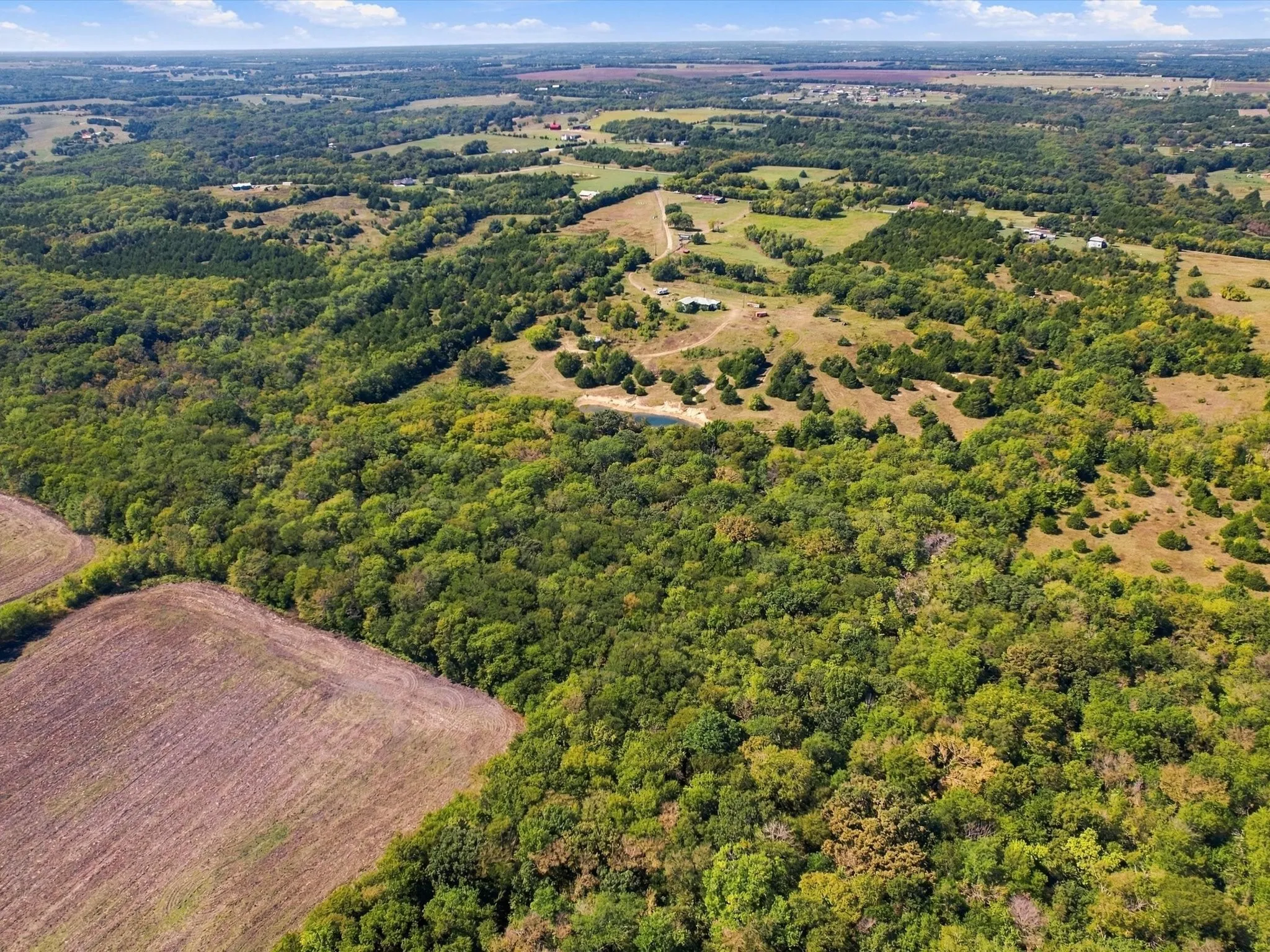 Unimproved Land For Sale in Grayson County , 828 Blanton Hill Road, Whitewright, Texas 75491, 0, 0, Garage spaces, 0 Sqft, built in 0, mls#21406189, Real Estate Agent in Whitewright, Homes For Sale in Grayson county, Homes For Sale in Whitewright, Realtor in Whitewright Texas, Real Estate Brokerage Independent Realty Texas, Luminita Cordes Realtor