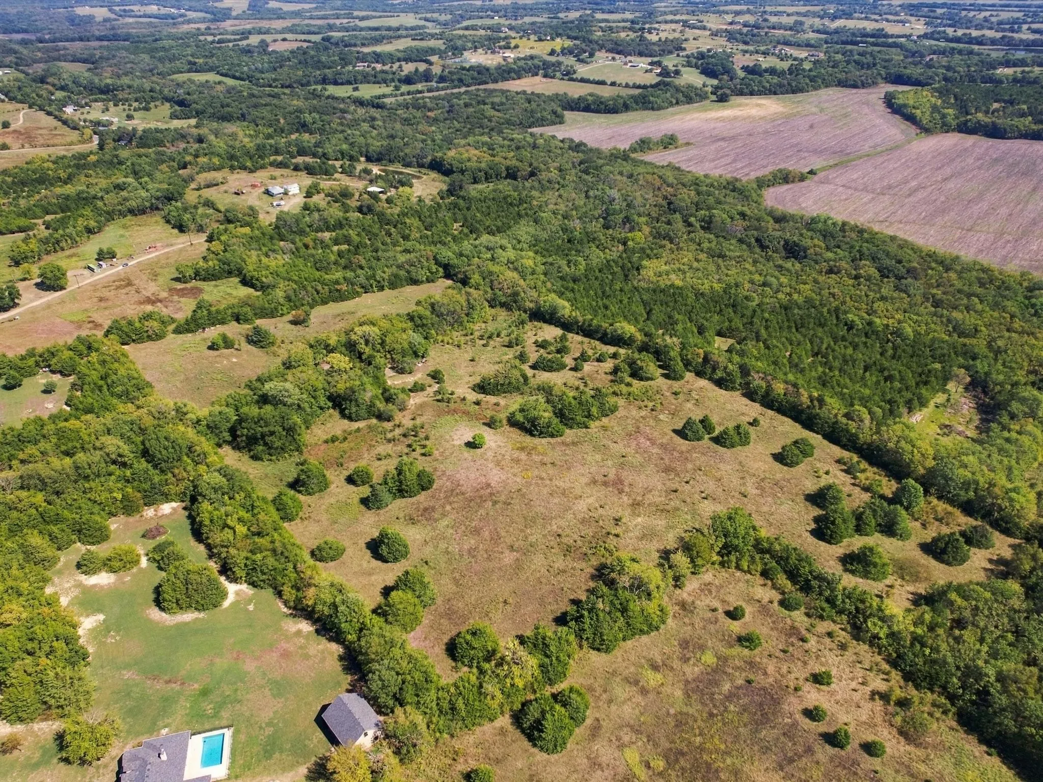 Unimproved Land For Sale in Grayson County , 828 Blanton Hill Road, Whitewright, Texas 75491, 0, 0, Garage spaces, 0 Sqft, built in 0, mls#21406189, Real Estate Agent in Whitewright, Homes For Sale in Grayson county, Homes For Sale in Whitewright, Realtor in Whitewright Texas, Real Estate Brokerage Independent Realty Texas, Luminita Cordes Realtor