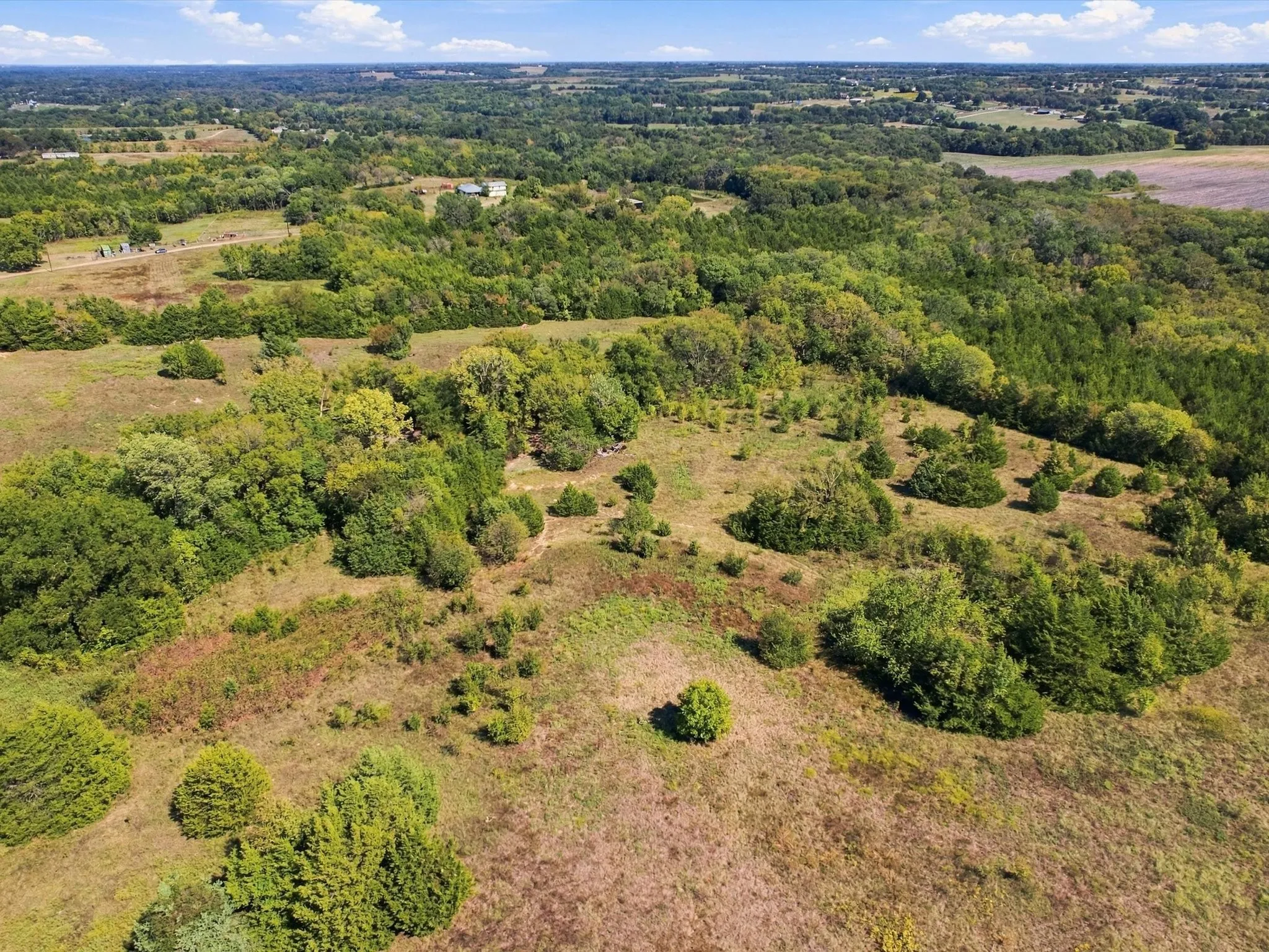 Unimproved Land For Sale in Grayson County , 828 Blanton Hill Road, Whitewright, Texas 75491, 0, 0, Garage spaces, 0 Sqft, built in 0, mls#21406189, Real Estate Agent in Whitewright, Homes For Sale in Grayson county, Homes For Sale in Whitewright, Realtor in Whitewright Texas, Real Estate Brokerage Independent Realty Texas, Luminita Cordes Realtor