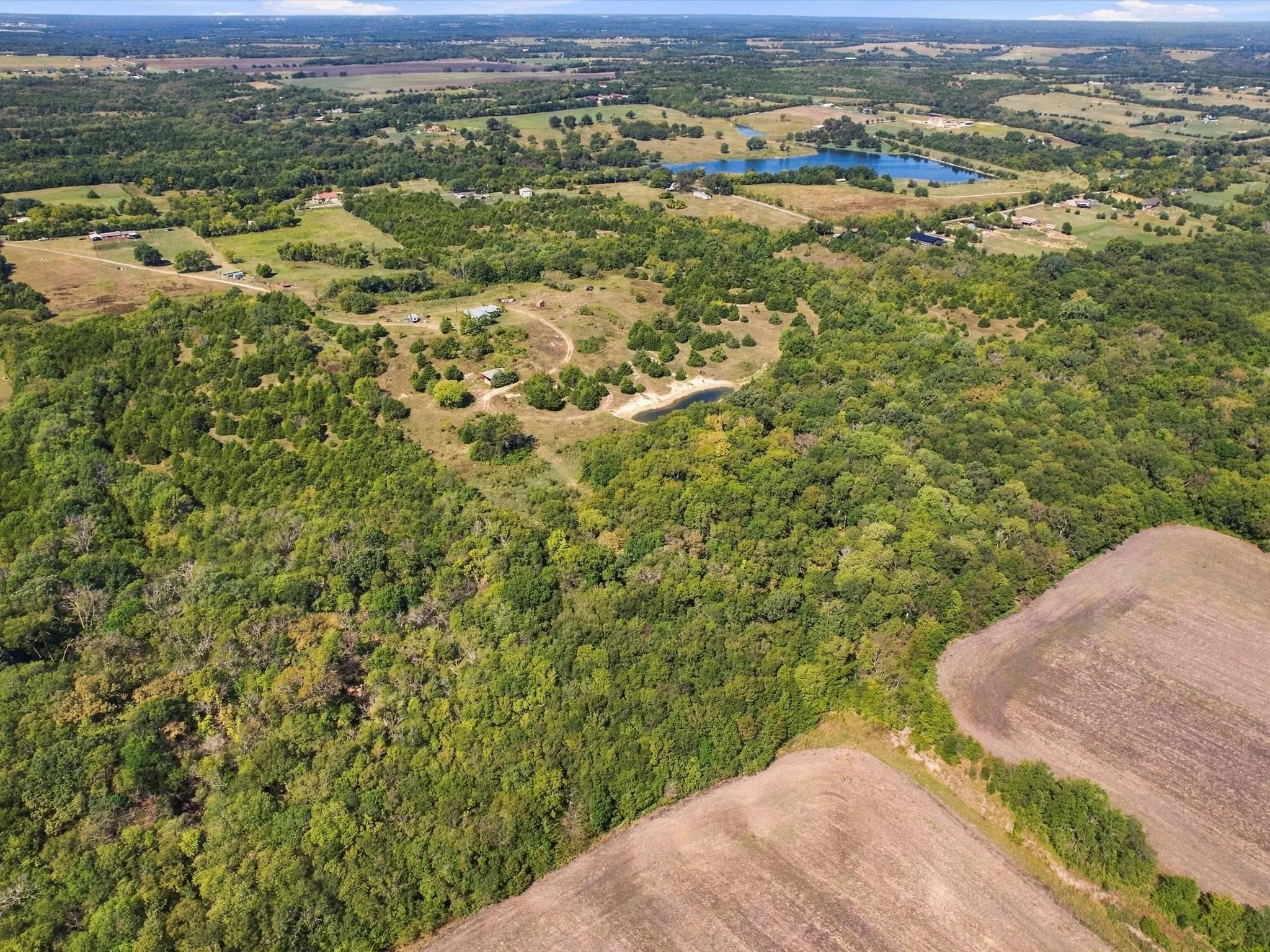 Unimproved Land For Sale in Grayson County , 828 Blanton Hill Road, Whitewright, Texas 75491, 0, 0, Garage spaces, 0 Sqft, built in 0, mls#21406189, Real Estate Agent in Whitewright, Homes For Sale in Grayson county, Homes For Sale in Whitewright, Realtor in Whitewright Texas, Real Estate Brokerage Independent Realty Texas, Luminita Cordes Realtor