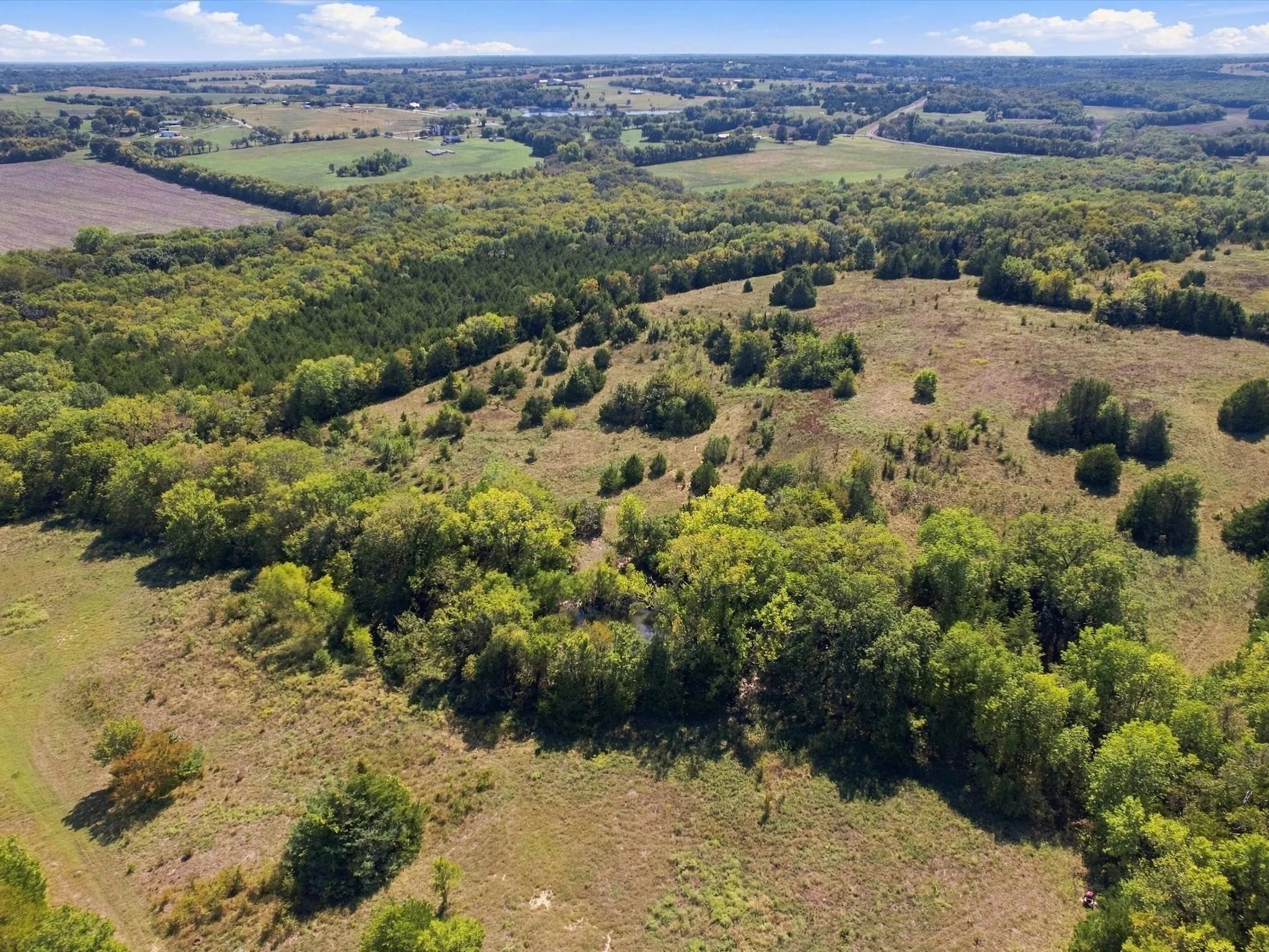 Unimproved Land For Sale in Grayson County , 828 Blanton Hill Road, Whitewright, Texas 75491, 0, 0, Garage spaces, 0 Sqft, built in 0, mls#21406189, Real Estate Agent in Whitewright, Homes For Sale in Grayson county, Homes For Sale in Whitewright, Realtor in Whitewright Texas, Real Estate Brokerage Independent Realty Texas, Luminita Cordes Realtor