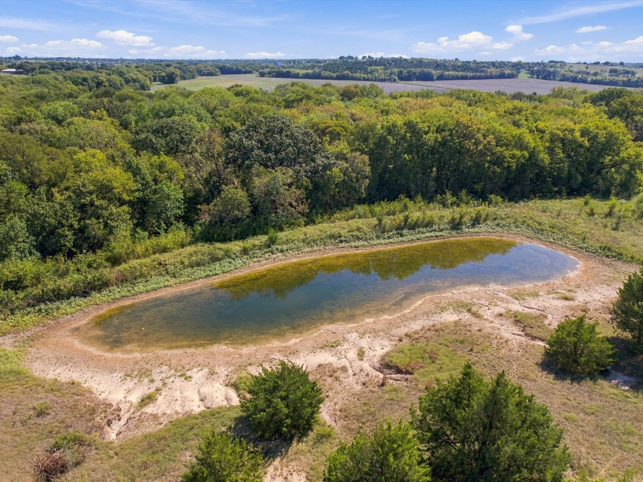 Unimproved Land For Sale in Grayson County , 828 Blanton Hill Road, Whitewright, Texas 75491, 0, 0, Garage spaces, 0 Sqft, built in 0, mls#21406189, Real Estate Agent in Whitewright, Homes For Sale in Grayson county, Homes For Sale in Whitewright, Realtor in Whitewright Texas, Real Estate Brokerage Independent Realty Texas, Luminita Cordes Realtor