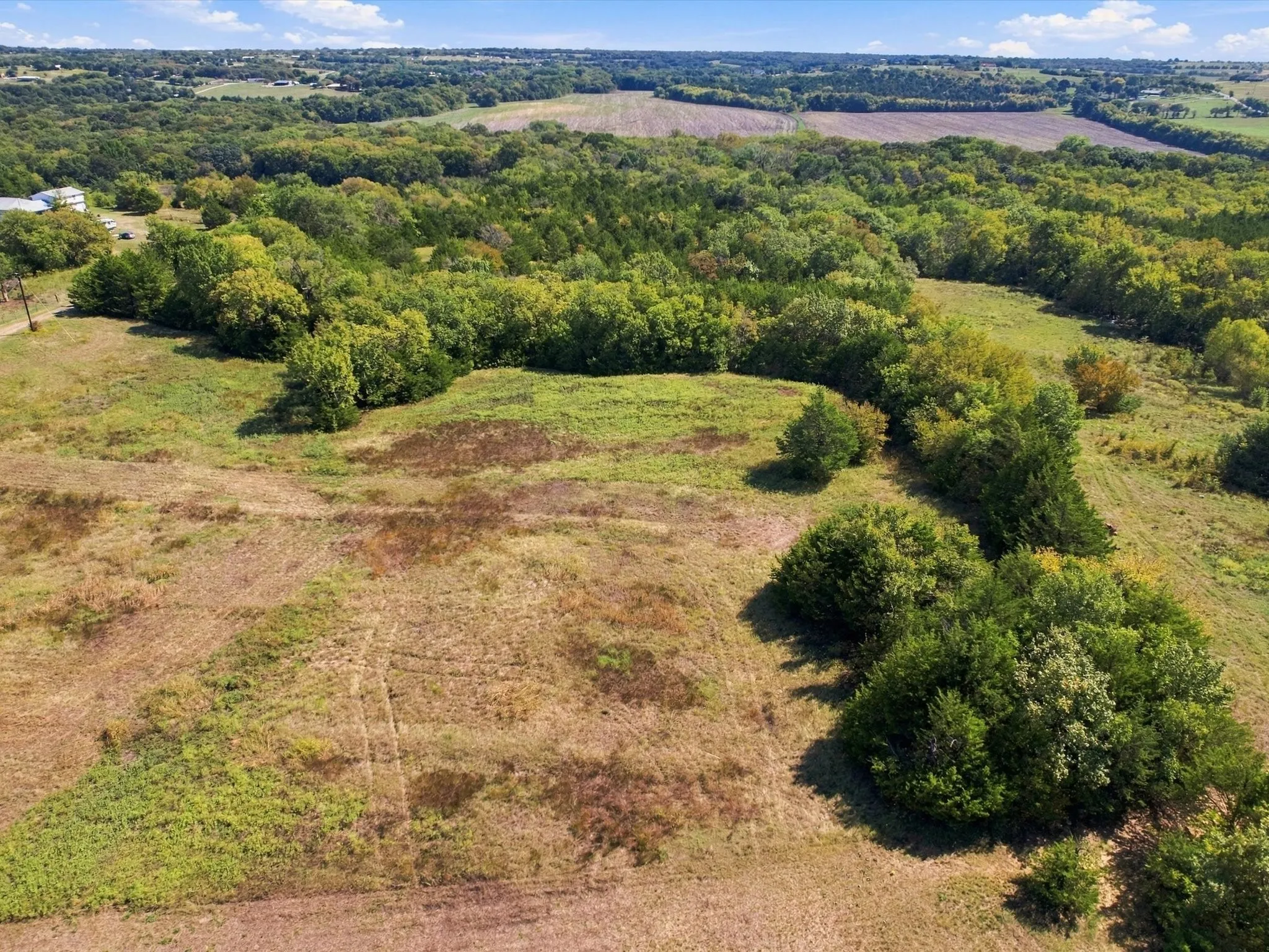 Unimproved Land For Sale in Grayson County , 828 Blanton Hill Road, Whitewright, Texas 75491, 0, 0, Garage spaces, 0 Sqft, built in 0, mls#21406189, Real Estate Agent in Whitewright, Homes For Sale in Grayson county, Homes For Sale in Whitewright, Realtor in Whitewright Texas, Real Estate Brokerage Independent Realty Texas, Luminita Cordes Realtor