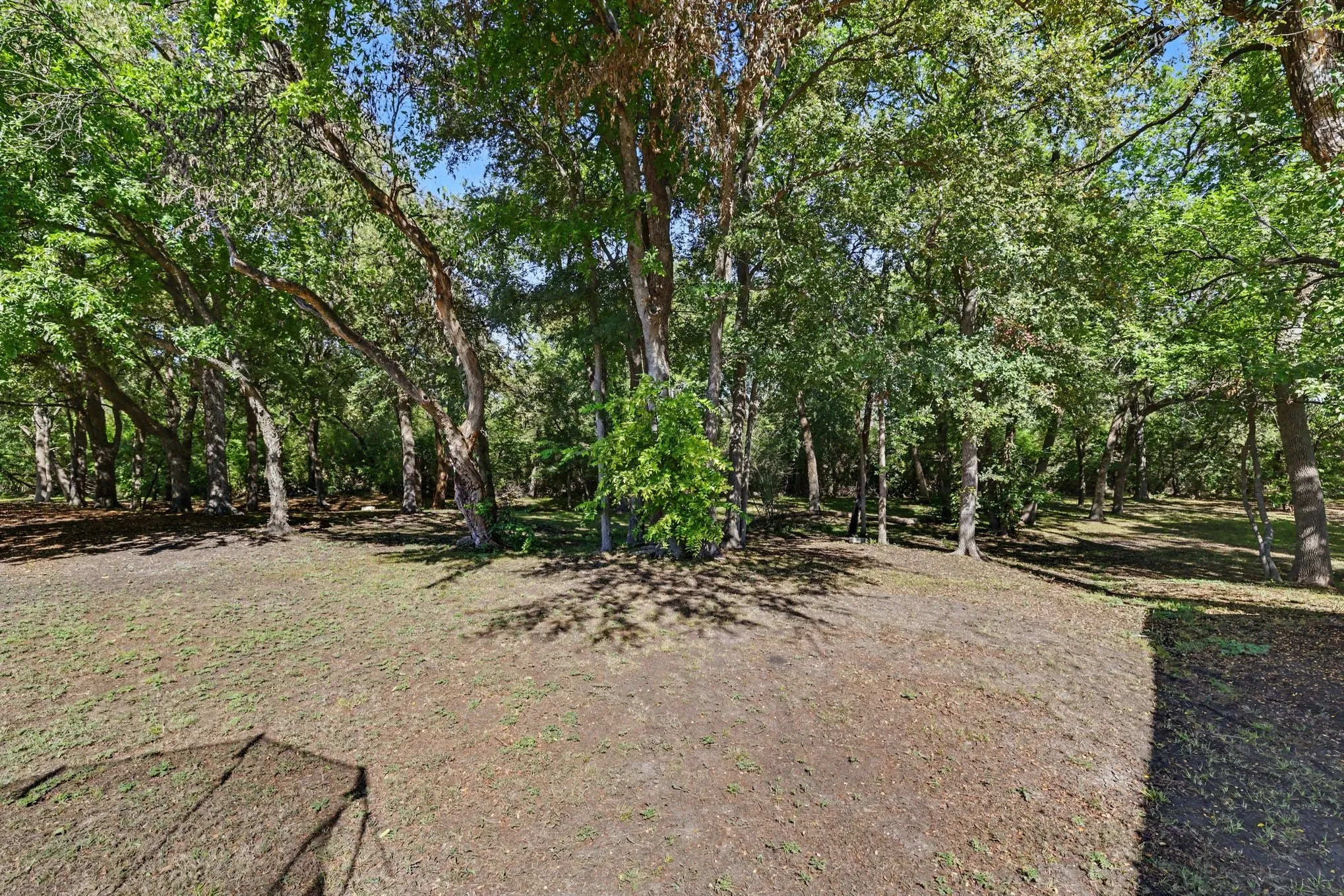 Wooded grounds featuring mature trees and natural landscaping