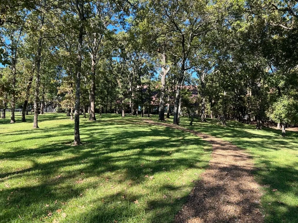 Single Family Residence For Rent in Wood County , 1256 Private Road 5980, Yantis, Texas 75497, 3 Bedroom, 5 Bathroom, 2 Garage spaces, 3,902 Sqft, built in 2000, mls#21397644, Real Estate Agent in Yantis, Homes For Rent in Wood county, Homes For Rent in Yantis, Realtor in Yantis Texas, Real Estate Brokerage Independent Realty Texas, Luminita Cordes Realtor