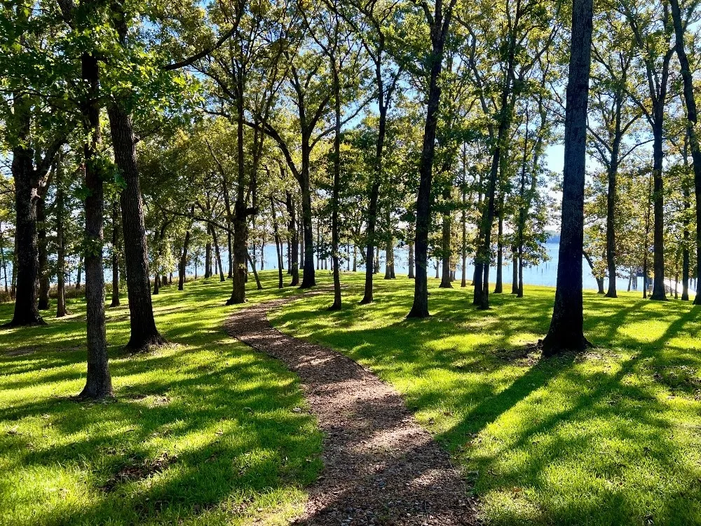 Single Family Residence For Rent in Wood County , 1256 Private Road 5980, Yantis, Texas 75497, 3 Bedroom, 5 Bathroom, 2 Garage spaces, 3,902 Sqft, built in 2000, mls#21397644, Real Estate Agent in Yantis, Homes For Rent in Wood county, Homes For Rent in Yantis, Realtor in Yantis Texas, Real Estate Brokerage Independent Realty Texas, Luminita Cordes Realtor