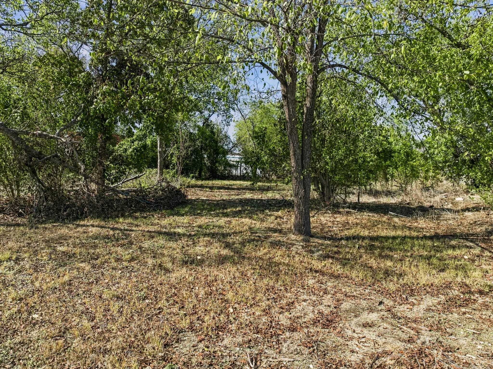 Unimproved Land For Sale in Hill County , TBD Corsicana & Pine Street, Hillsboro, Texas 76645, 0, 0, Garage spaces, 0 Sqft, built in 0, mls#21404608, Real Estate Agent in Hillsboro, Homes For Sale in Hill county, Homes For Sale in Hillsboro, Realtor in Hillsboro Texas, Real Estate Brokerage Independent Realty Texas, Luminita Cordes Realtor