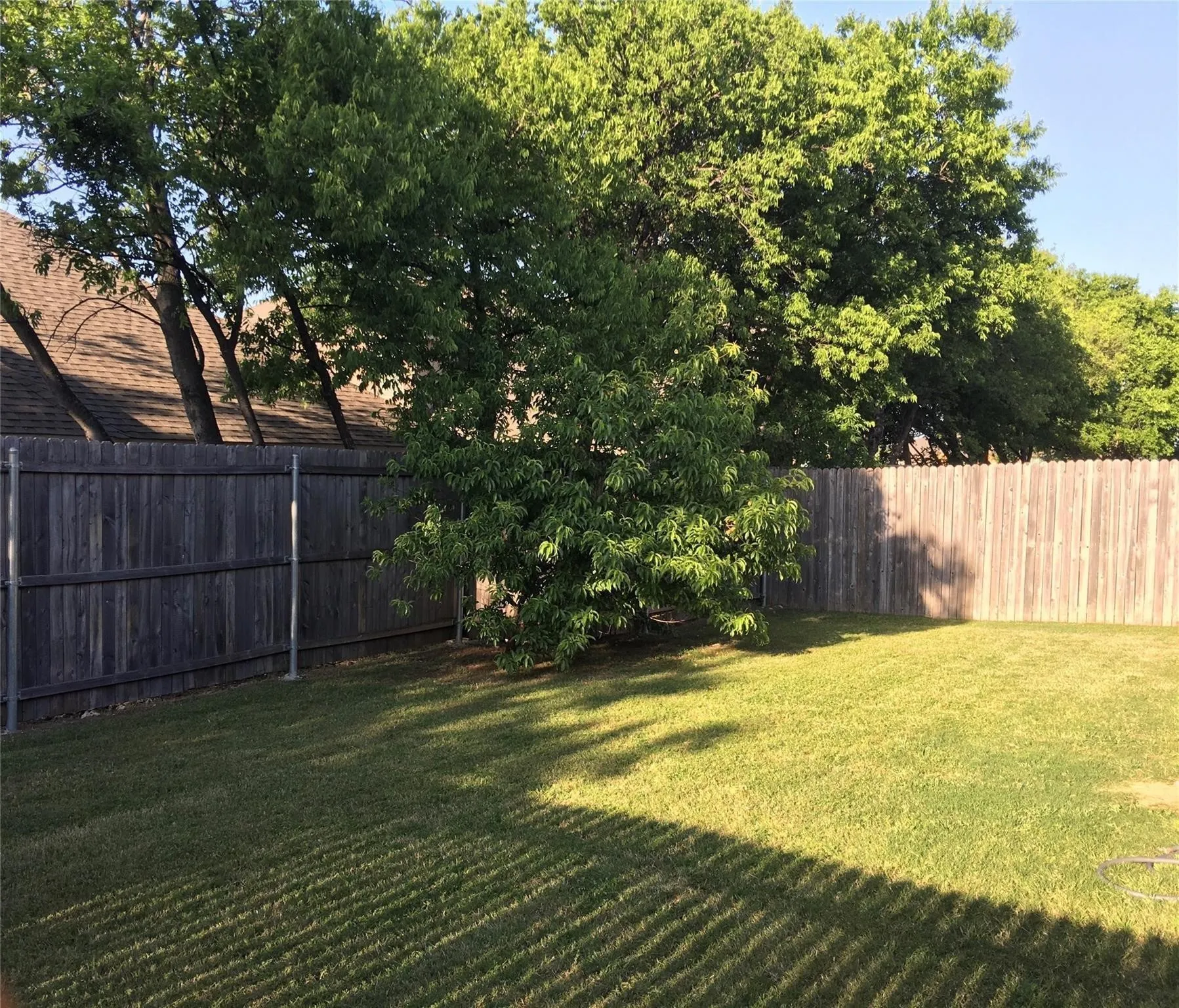 Large backyard.