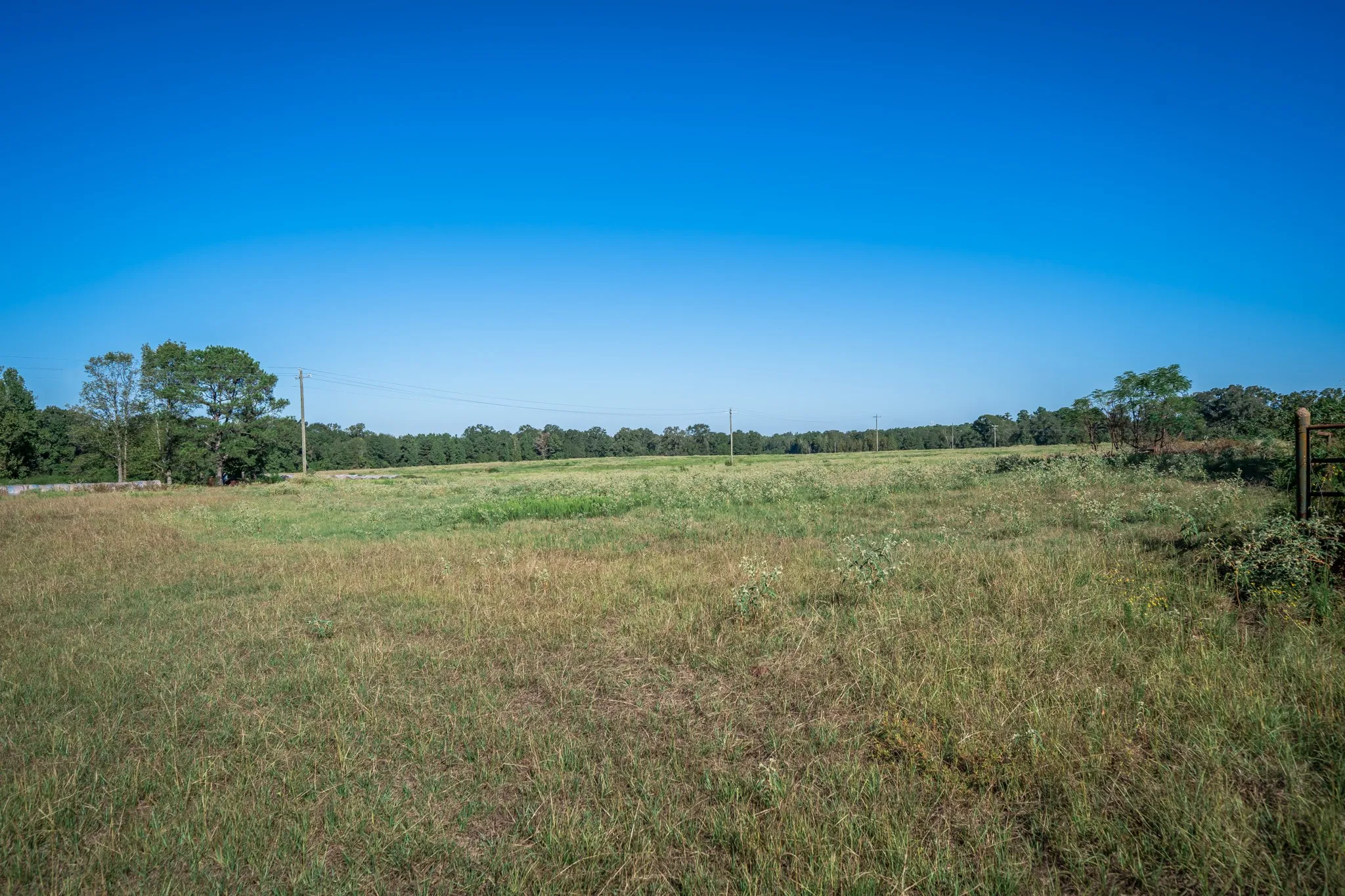 Improved Land For Sale in Harrison County , 0 Ora Asa Johnson Rd., Harleton, Texas 75651, 0, 0, Garage spaces, 0 Sqft, built in 0, mls#21406324, Real Estate Agent in Harleton, Homes For Sale in Harrison county, Homes For Sale in Harleton, Realtor in Harleton Texas, Real Estate Brokerage Independent Realty Texas, Luminita Cordes Realtor