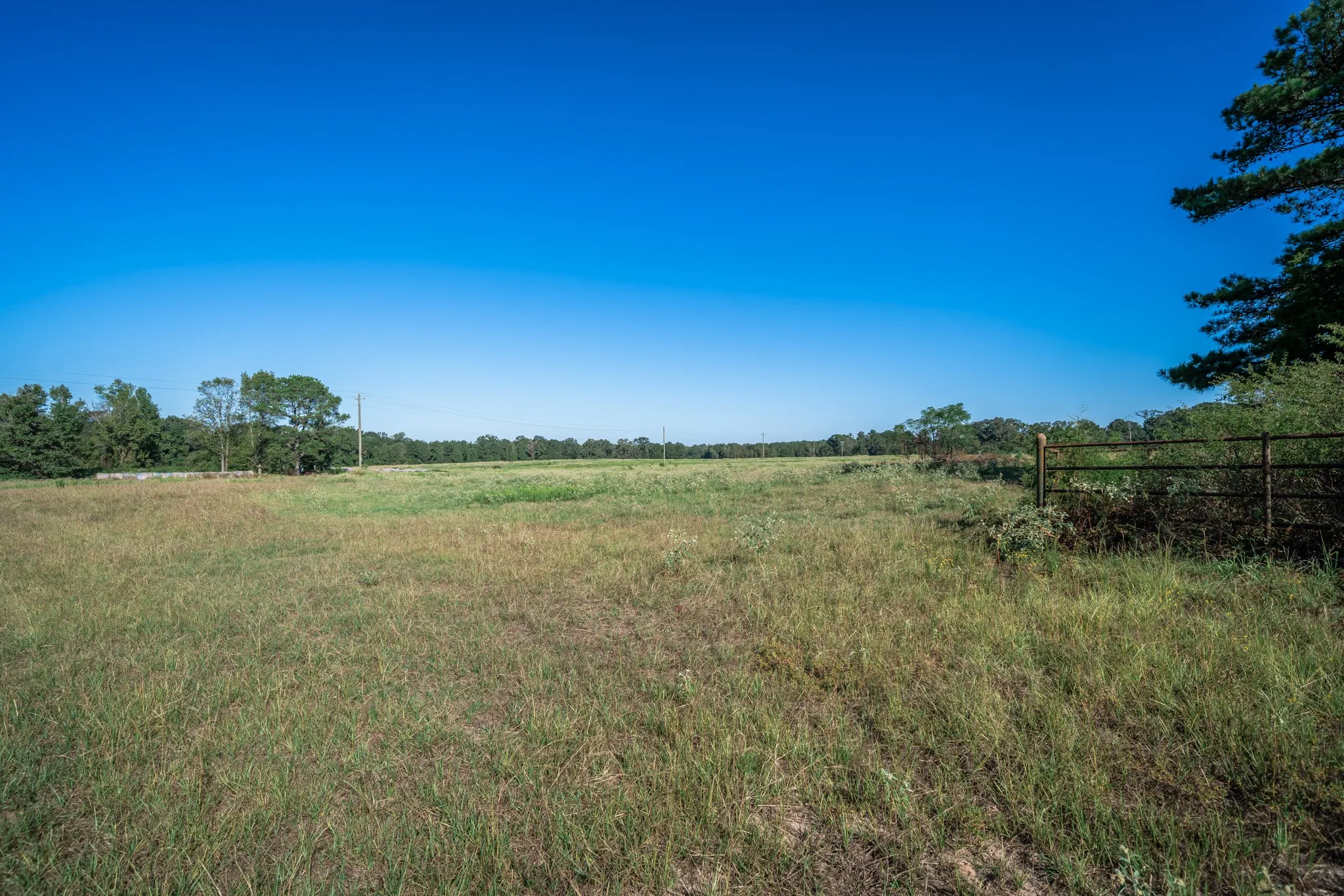 Improved Land For Sale in Harrison County , 0 Ora Asa Johnson Rd., Harleton, Texas 75651, 0, 0, Garage spaces, 0 Sqft, built in 0, mls#21406324, Real Estate Agent in Harleton, Homes For Sale in Harrison county, Homes For Sale in Harleton, Realtor in Harleton Texas, Real Estate Brokerage Independent Realty Texas, Luminita Cordes Realtor