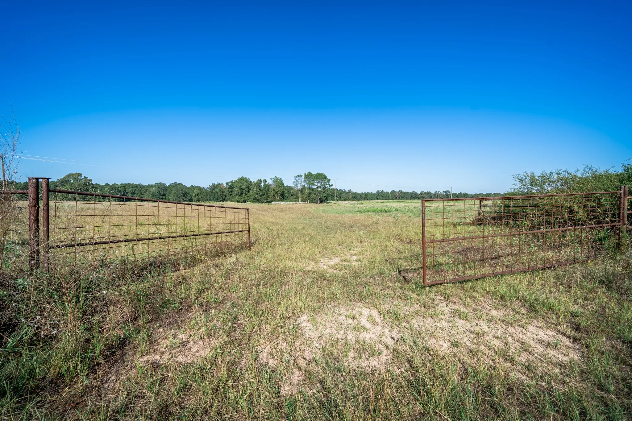 Improved Land For Sale in Harrison County , 0 Ora Asa Johnson Rd., Harleton, Texas 75651, 0, 0, Garage spaces, 0 Sqft, built in 0, mls#21406324, Real Estate Agent in Harleton, Homes For Sale in Harrison county, Homes For Sale in Harleton, Realtor in Harleton Texas, Real Estate Brokerage Independent Realty Texas, Luminita Cordes Realtor