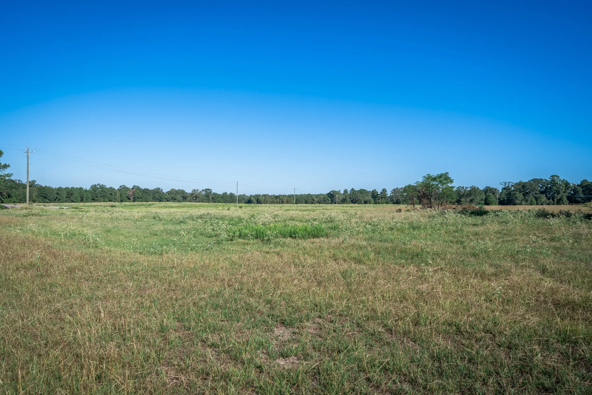 Improved Land For Sale in Harrison County , 0 Ora Asa Johnson Rd., Harleton, Texas 75651, 0, 0, Garage spaces, 0 Sqft, built in 0, mls#21406324, Real Estate Agent in Harleton, Homes For Sale in Harrison county, Homes For Sale in Harleton, Realtor in Harleton Texas, Real Estate Brokerage Independent Realty Texas, Luminita Cordes Realtor