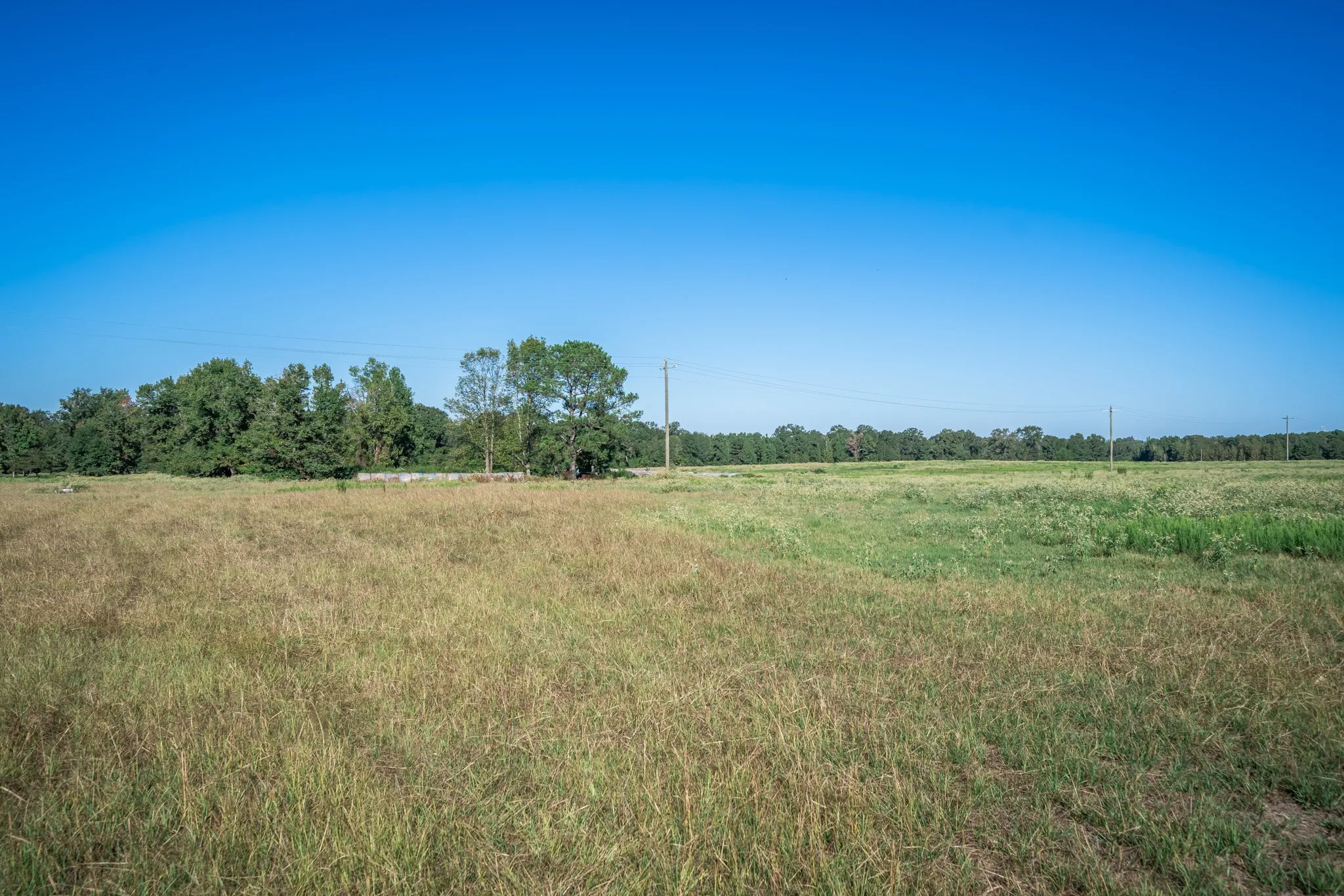 Improved Land For Sale in Harrison County , 0 Ora Asa Johnson Rd., Harleton, Texas 75651, 0, 0, Garage spaces, 0 Sqft, built in 0, mls#21406324, Real Estate Agent in Harleton, Homes For Sale in Harrison county, Homes For Sale in Harleton, Realtor in Harleton Texas, Real Estate Brokerage Independent Realty Texas, Luminita Cordes Realtor