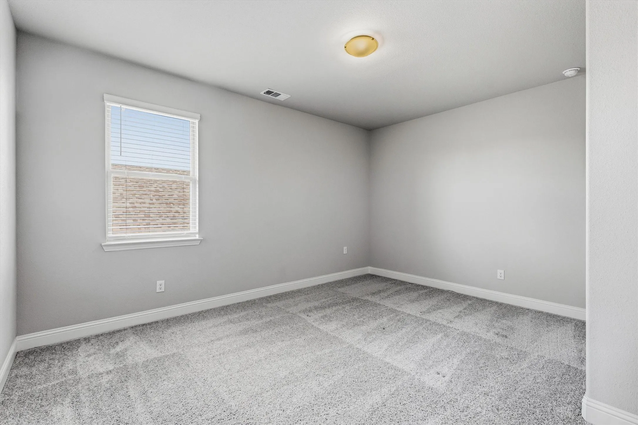 Broadloom carpeting, white trim, single window with blinds, and a ceiling-mounted light fixture