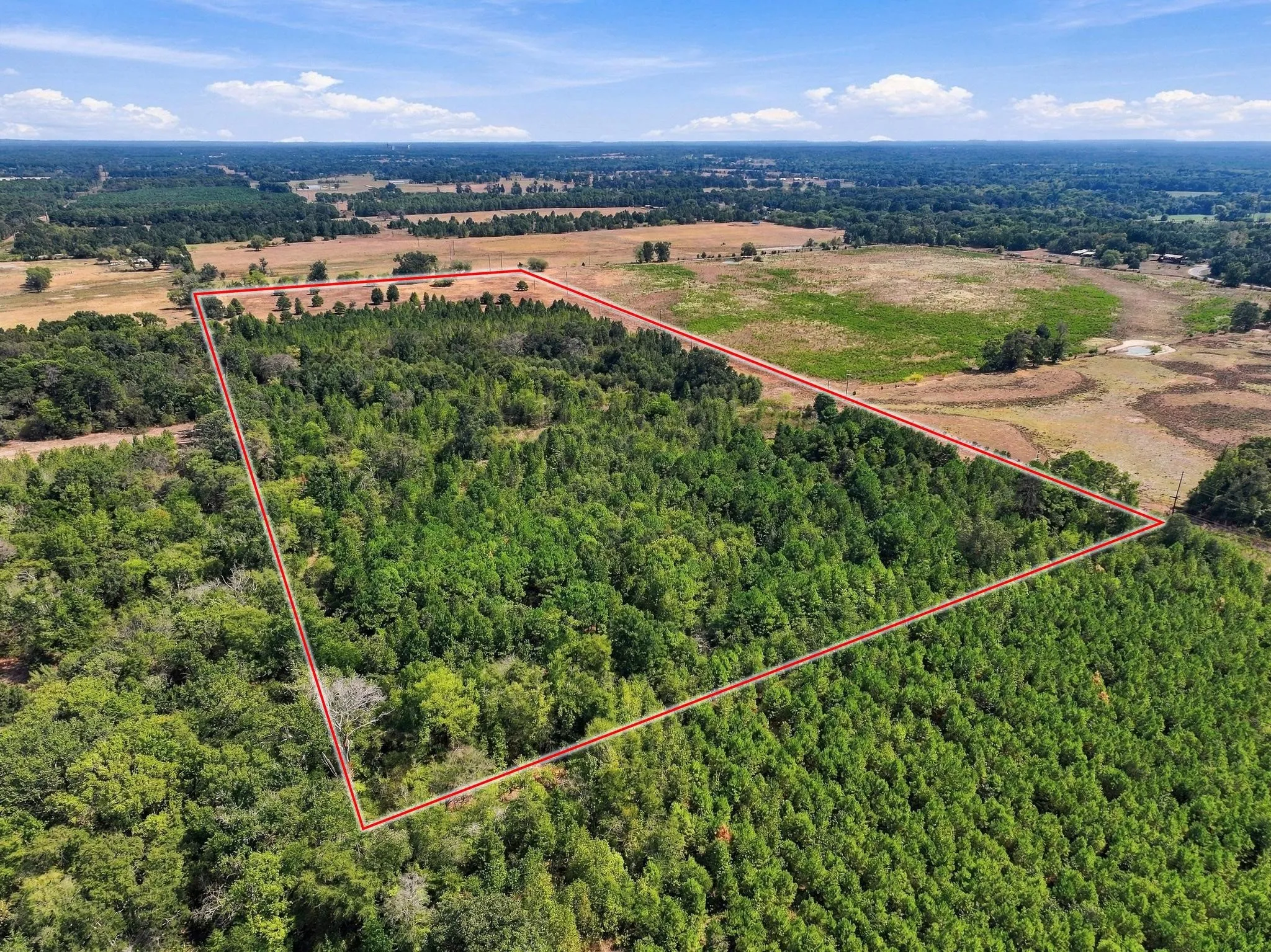 Improved Land For Sale in Camp County , 40.54acres TBD County Road 2314, Pittsburg, Texas 75686, 0, 0, Garage spaces, 0 Sqft, built in 0, mls#21406345, Real Estate Agent in Pittsburg, Homes For Sale in Camp county, Homes For Sale in Pittsburg, Realtor in Pittsburg Texas, Real Estate Brokerage Independent Realty Texas, Luminita Cordes Realtor