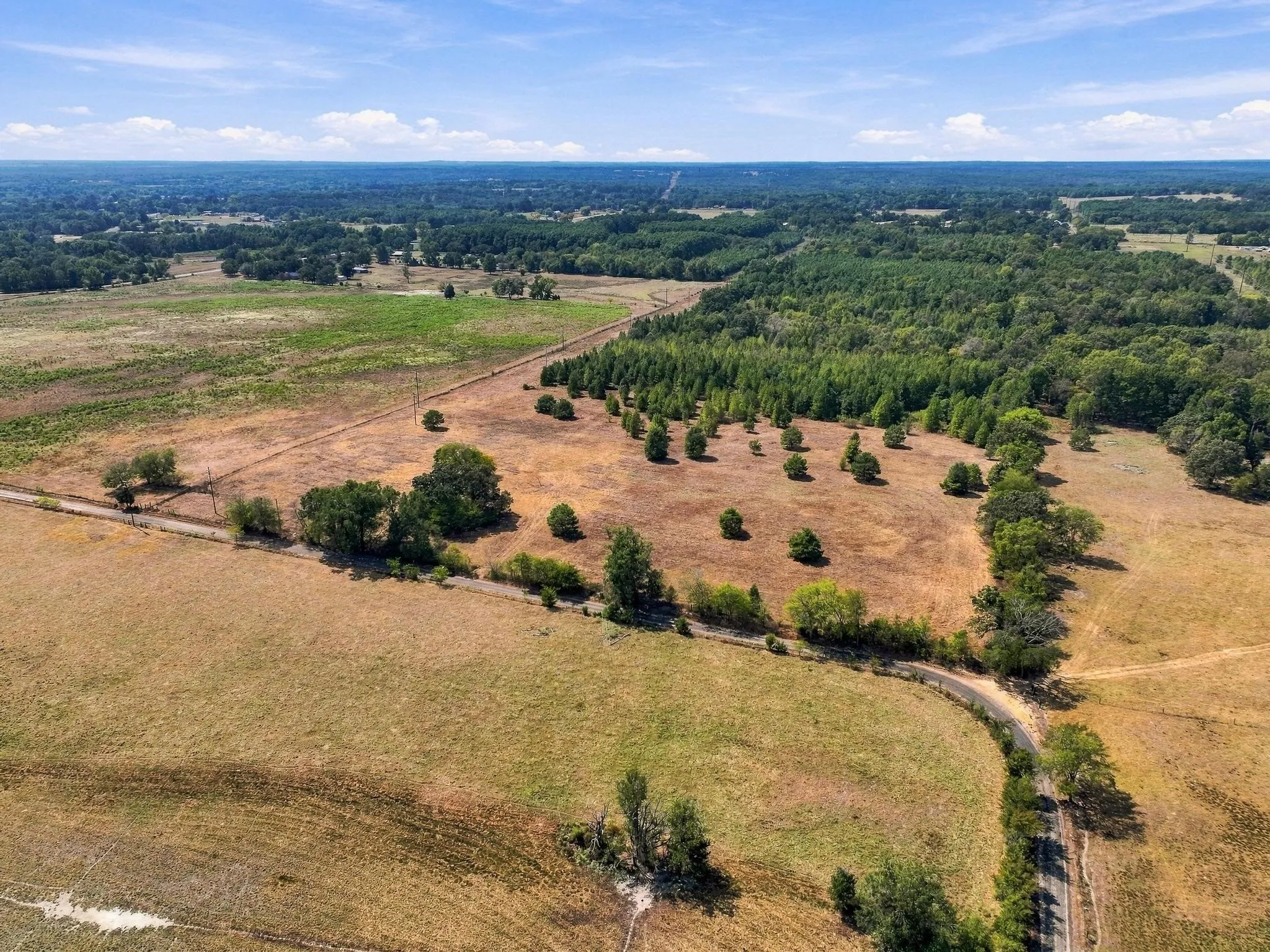 Improved Land For Sale in Camp County , 40.54acres TBD County Road 2314, Pittsburg, Texas 75686, 0, 0, Garage spaces, 0 Sqft, built in 0, mls#21406345, Real Estate Agent in Pittsburg, Homes For Sale in Camp county, Homes For Sale in Pittsburg, Realtor in Pittsburg Texas, Real Estate Brokerage Independent Realty Texas, Luminita Cordes Realtor