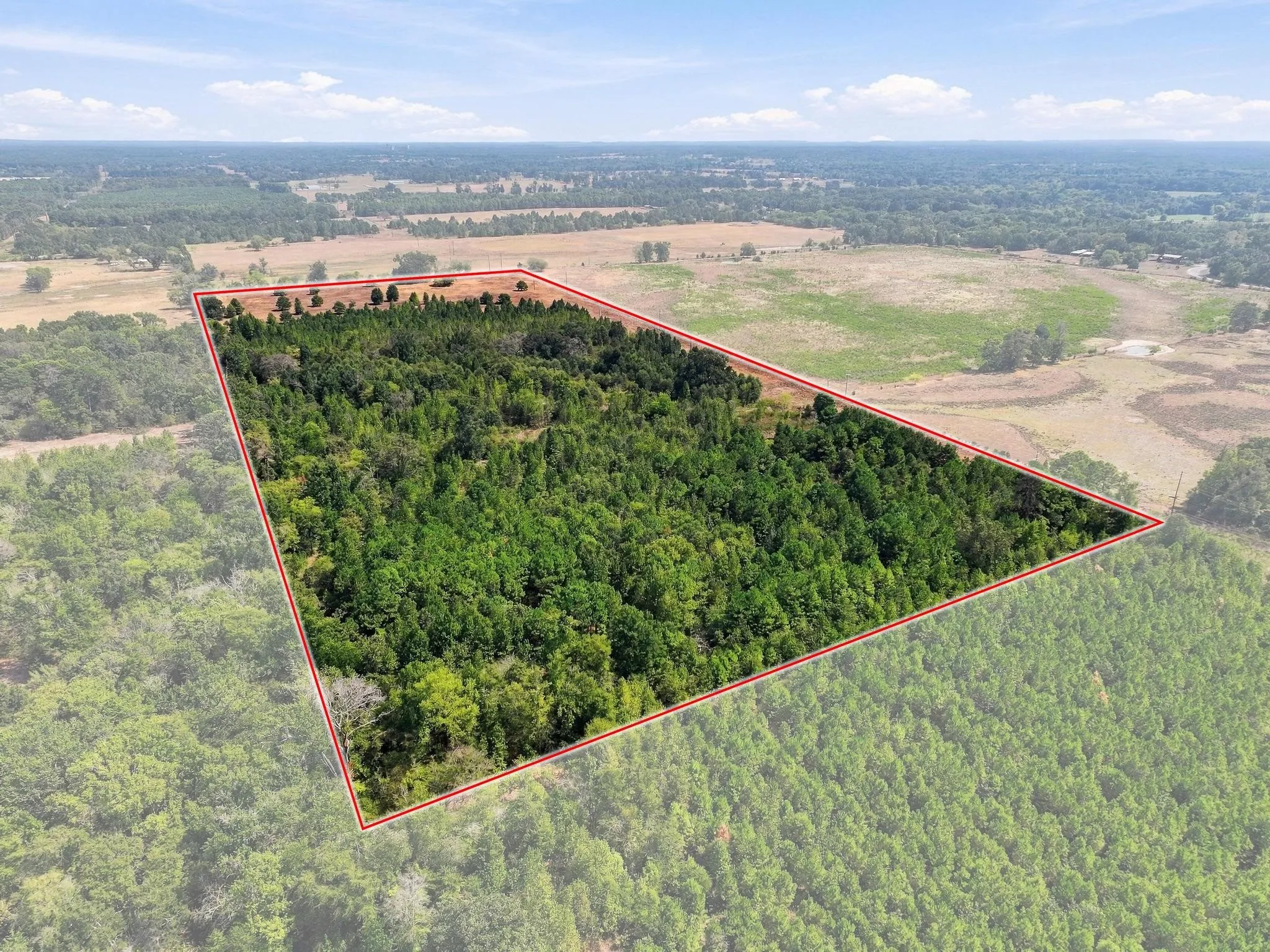 Improved Land For Sale in Camp County , 40.54acres TBD County Road 2314, Pittsburg, Texas 75686, 0, 0, Garage spaces, 0 Sqft, built in 0, mls#21406345, Real Estate Agent in Pittsburg, Homes For Sale in Camp county, Homes For Sale in Pittsburg, Realtor in Pittsburg Texas, Real Estate Brokerage Independent Realty Texas, Luminita Cordes Realtor