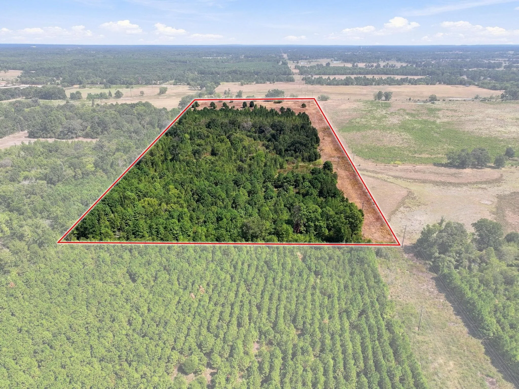 Improved Land For Sale in Camp County , 40.54acres TBD County Road 2314, Pittsburg, Texas 75686, 0, 0, Garage spaces, 0 Sqft, built in 0, mls#21406345, Real Estate Agent in Pittsburg, Homes For Sale in Camp county, Homes For Sale in Pittsburg, Realtor in Pittsburg Texas, Real Estate Brokerage Independent Realty Texas, Luminita Cordes Realtor