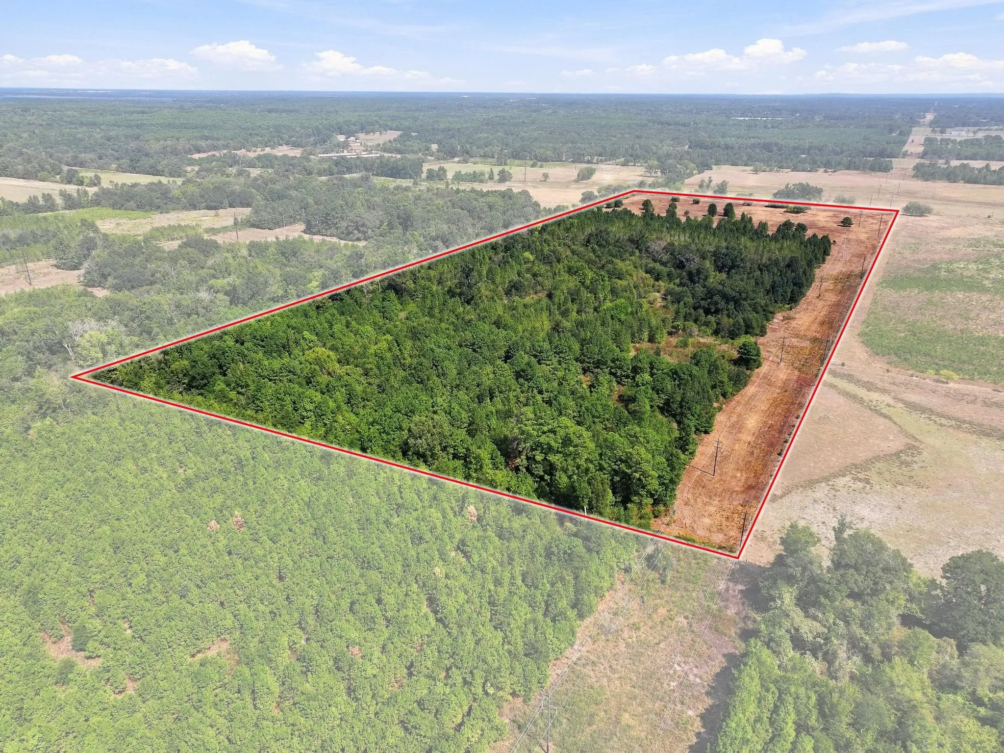 Improved Land For Sale in Camp County , 40.54acres TBD County Road 2314, Pittsburg, Texas 75686, 0, 0, Garage spaces, 0 Sqft, built in 0, mls#21406345, Real Estate Agent in Pittsburg, Homes For Sale in Camp county, Homes For Sale in Pittsburg, Realtor in Pittsburg Texas, Real Estate Brokerage Independent Realty Texas, Luminita Cordes Realtor