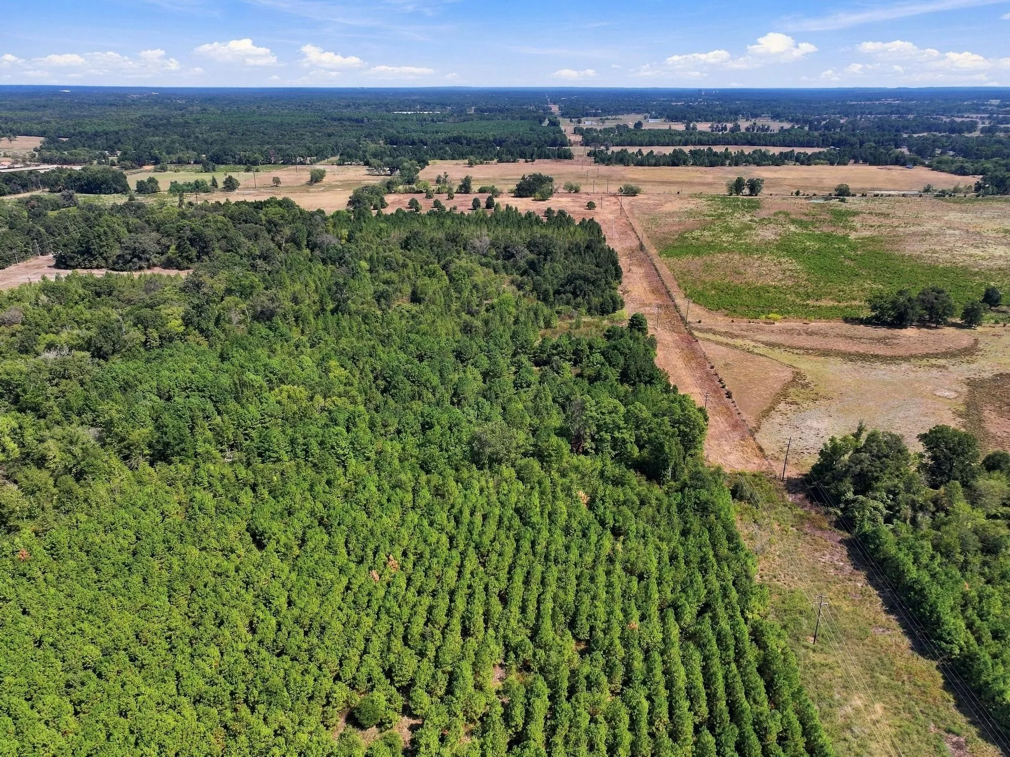 Improved Land For Sale in Camp County , 40.54acres TBD County Road 2314, Pittsburg, Texas 75686, 0, 0, Garage spaces, 0 Sqft, built in 0, mls#21406345, Real Estate Agent in Pittsburg, Homes For Sale in Camp county, Homes For Sale in Pittsburg, Realtor in Pittsburg Texas, Real Estate Brokerage Independent Realty Texas, Luminita Cordes Realtor