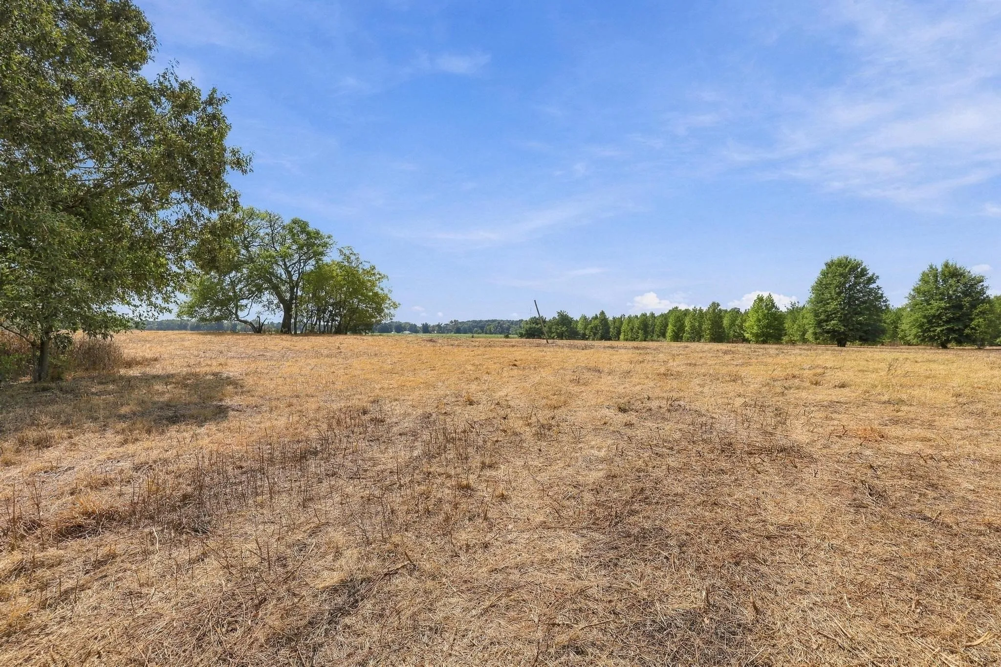 Improved Land For Sale in Camp County , 40.54acres TBD County Road 2314, Pittsburg, Texas 75686, 0, 0, Garage spaces, 0 Sqft, built in 0, mls#21406345, Real Estate Agent in Pittsburg, Homes For Sale in Camp county, Homes For Sale in Pittsburg, Realtor in Pittsburg Texas, Real Estate Brokerage Independent Realty Texas, Luminita Cordes Realtor