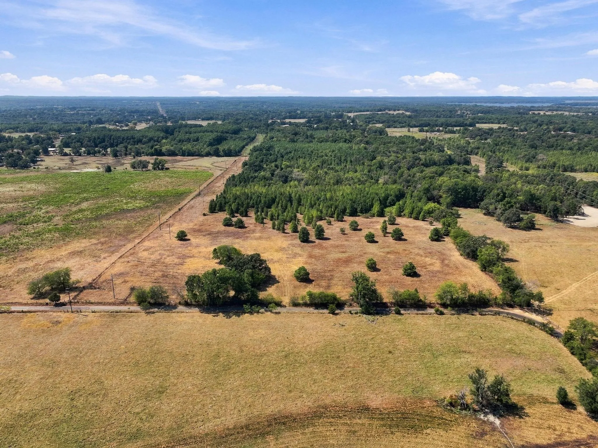 Improved Land For Sale in Camp County , 40.54acres TBD County Road 2314, Pittsburg, Texas 75686, 0, 0, Garage spaces, 0 Sqft, built in 0, mls#21406345, Real Estate Agent in Pittsburg, Homes For Sale in Camp county, Homes For Sale in Pittsburg, Realtor in Pittsburg Texas, Real Estate Brokerage Independent Realty Texas, Luminita Cordes Realtor