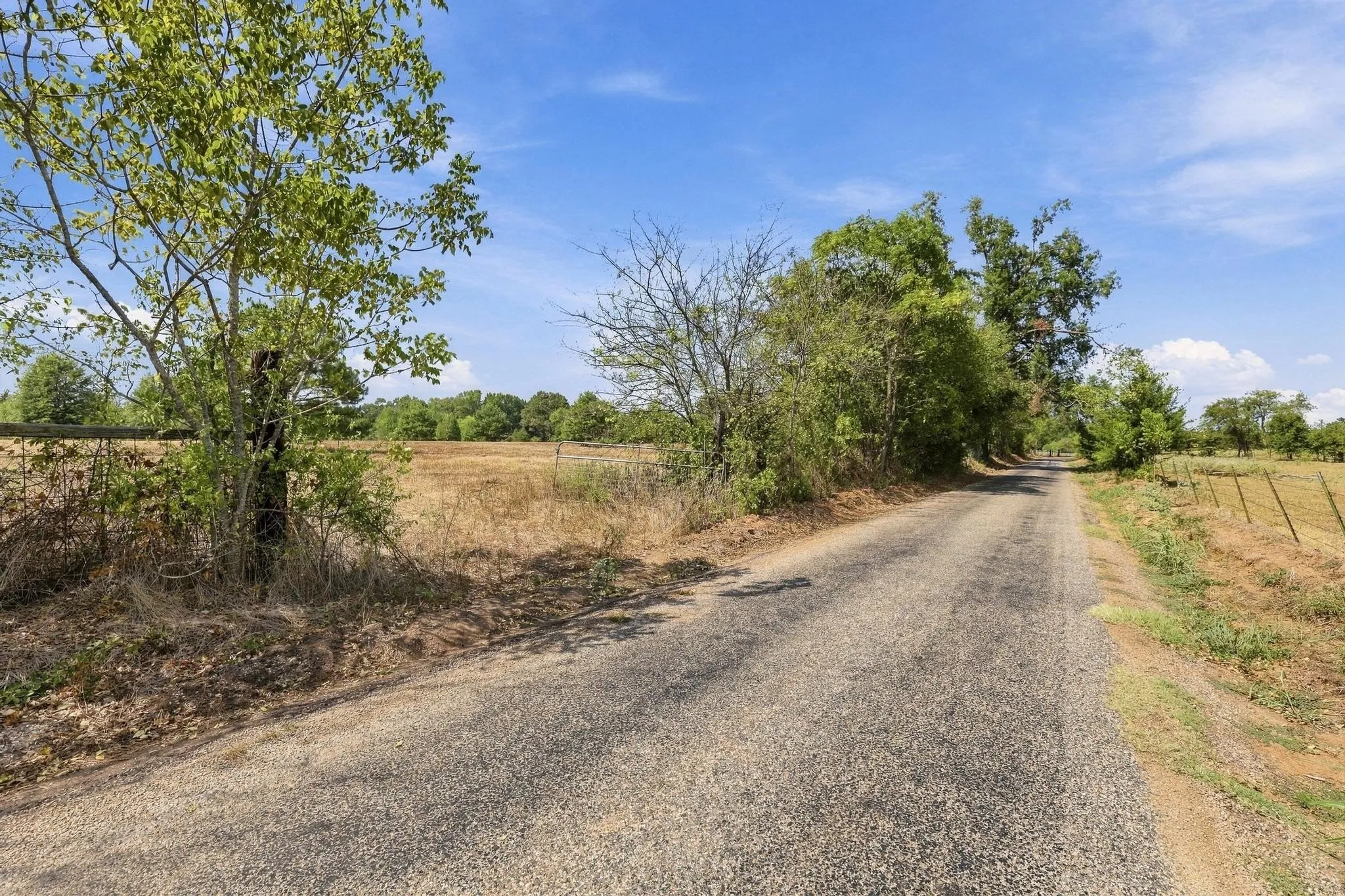 Improved Land For Sale in Camp County , 40.54acres TBD County Road 2314, Pittsburg, Texas 75686, 0, 0, Garage spaces, 0 Sqft, built in 0, mls#21406345, Real Estate Agent in Pittsburg, Homes For Sale in Camp county, Homes For Sale in Pittsburg, Realtor in Pittsburg Texas, Real Estate Brokerage Independent Realty Texas, Luminita Cordes Realtor
