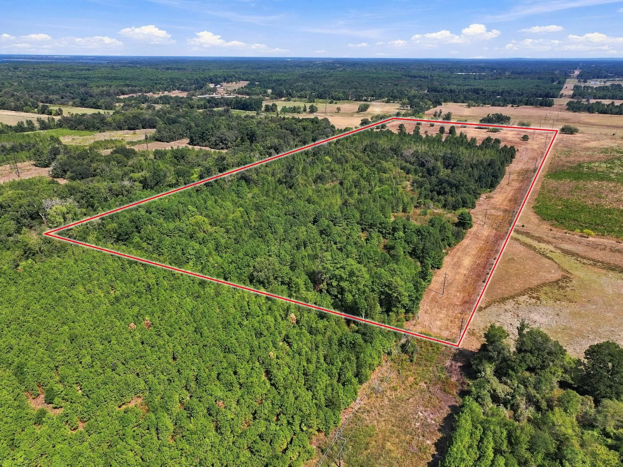 Improved Land For Sale in Camp County , 40.54acres TBD County Road 2314, Pittsburg, Texas 75686, 0, 0, Garage spaces, 0 Sqft, built in 0, mls#21406345, Real Estate Agent in Pittsburg, Homes For Sale in Camp county, Homes For Sale in Pittsburg, Realtor in Pittsburg Texas, Real Estate Brokerage Independent Realty Texas, Luminita Cordes Realtor