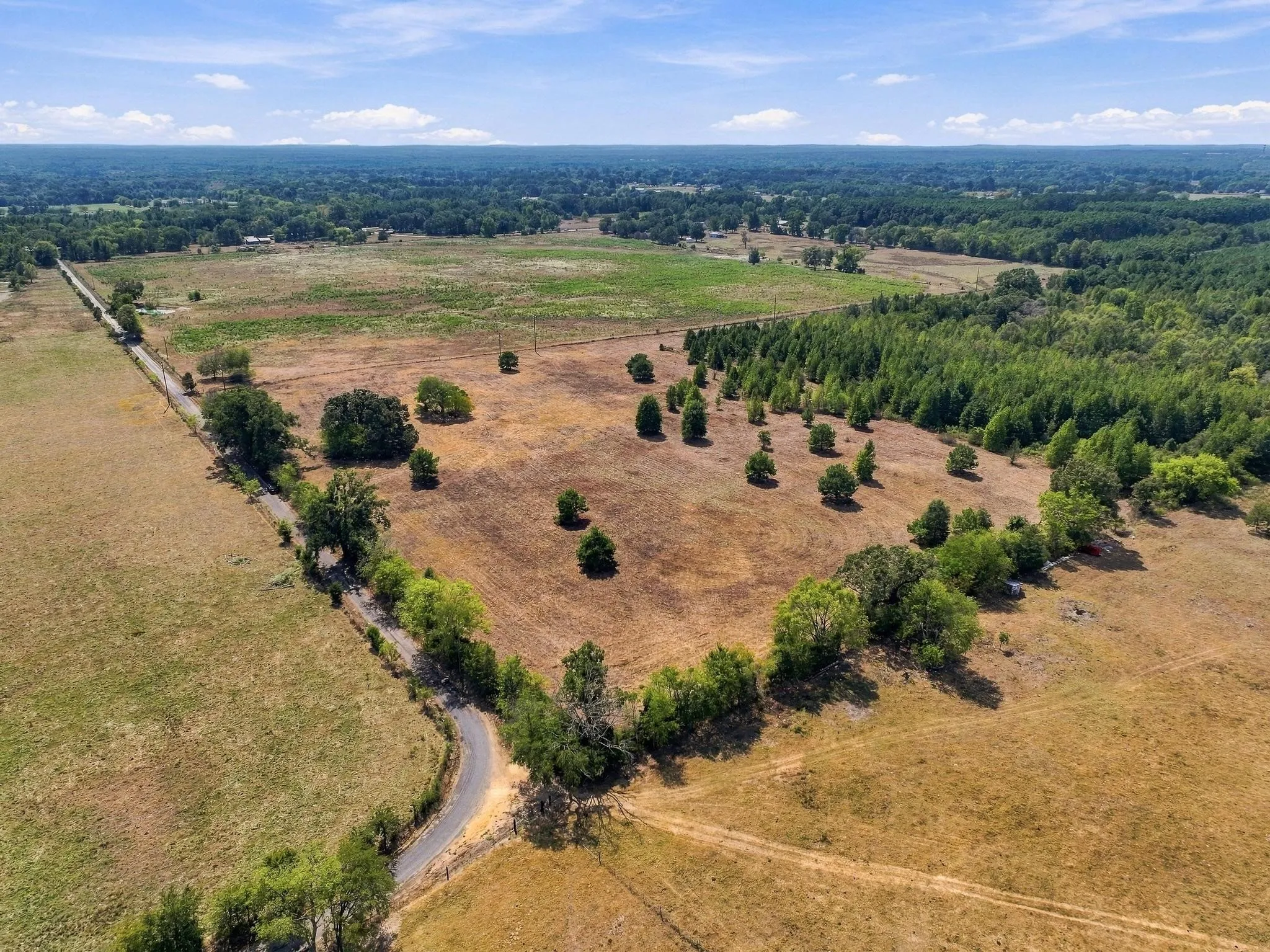 Improved Land For Sale in Camp County , 40.54acres TBD County Road 2314, Pittsburg, Texas 75686, 0, 0, Garage spaces, 0 Sqft, built in 0, mls#21406345, Real Estate Agent in Pittsburg, Homes For Sale in Camp county, Homes For Sale in Pittsburg, Realtor in Pittsburg Texas, Real Estate Brokerage Independent Realty Texas, Luminita Cordes Realtor