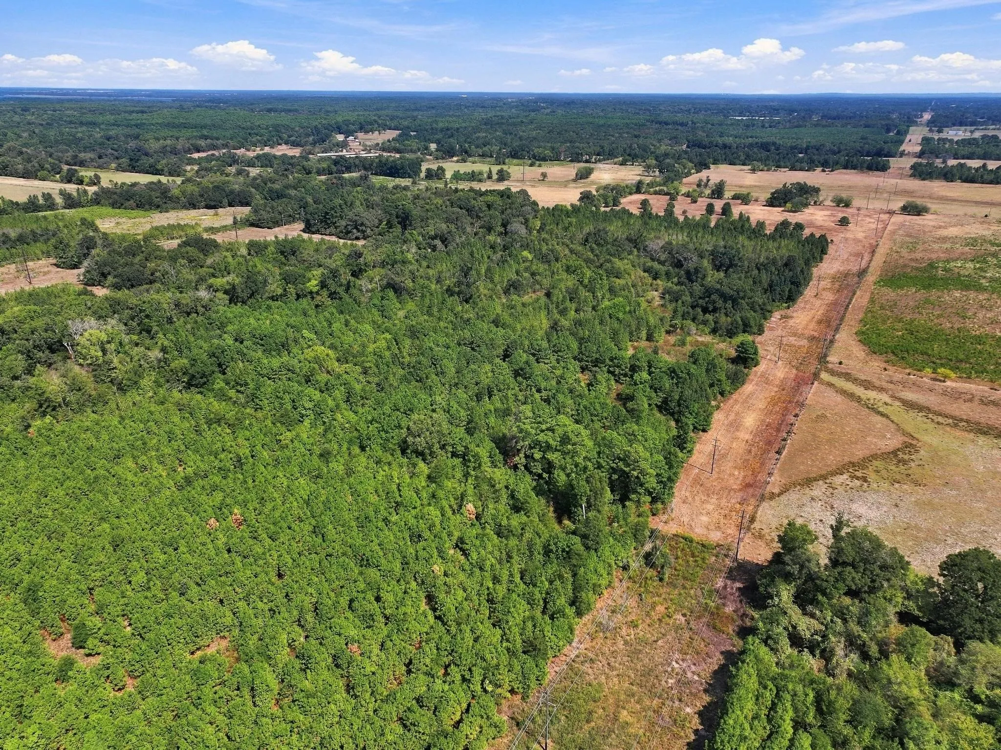 Improved Land For Sale in Camp County , 40.54acres TBD County Road 2314, Pittsburg, Texas 75686, 0, 0, Garage spaces, 0 Sqft, built in 0, mls#21406345, Real Estate Agent in Pittsburg, Homes For Sale in Camp county, Homes For Sale in Pittsburg, Realtor in Pittsburg Texas, Real Estate Brokerage Independent Realty Texas, Luminita Cordes Realtor