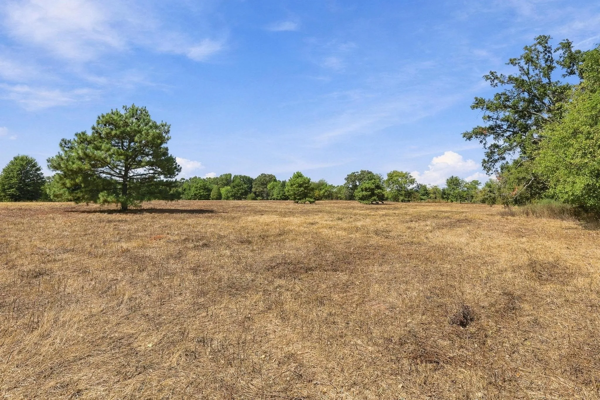 Improved Land For Sale in Camp County , 40.54acres TBD County Road 2314, Pittsburg, Texas 75686, 0, 0, Garage spaces, 0 Sqft, built in 0, mls#21406345, Real Estate Agent in Pittsburg, Homes For Sale in Camp county, Homes For Sale in Pittsburg, Realtor in Pittsburg Texas, Real Estate Brokerage Independent Realty Texas, Luminita Cordes Realtor