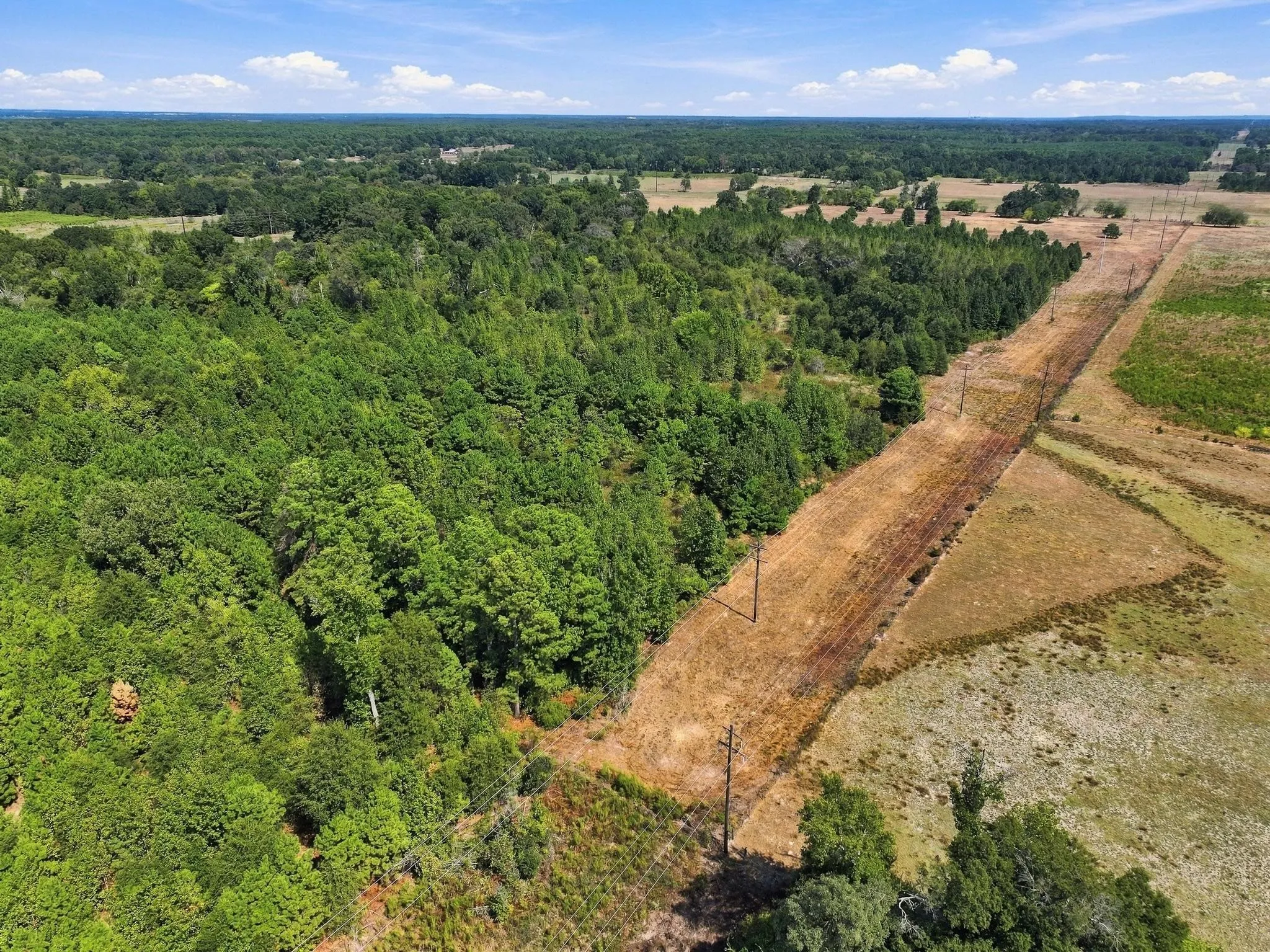 Improved Land For Sale in Camp County , 40.54acres TBD County Road 2314, Pittsburg, Texas 75686, 0, 0, Garage spaces, 0 Sqft, built in 0, mls#21406345, Real Estate Agent in Pittsburg, Homes For Sale in Camp county, Homes For Sale in Pittsburg, Realtor in Pittsburg Texas, Real Estate Brokerage Independent Realty Texas, Luminita Cordes Realtor