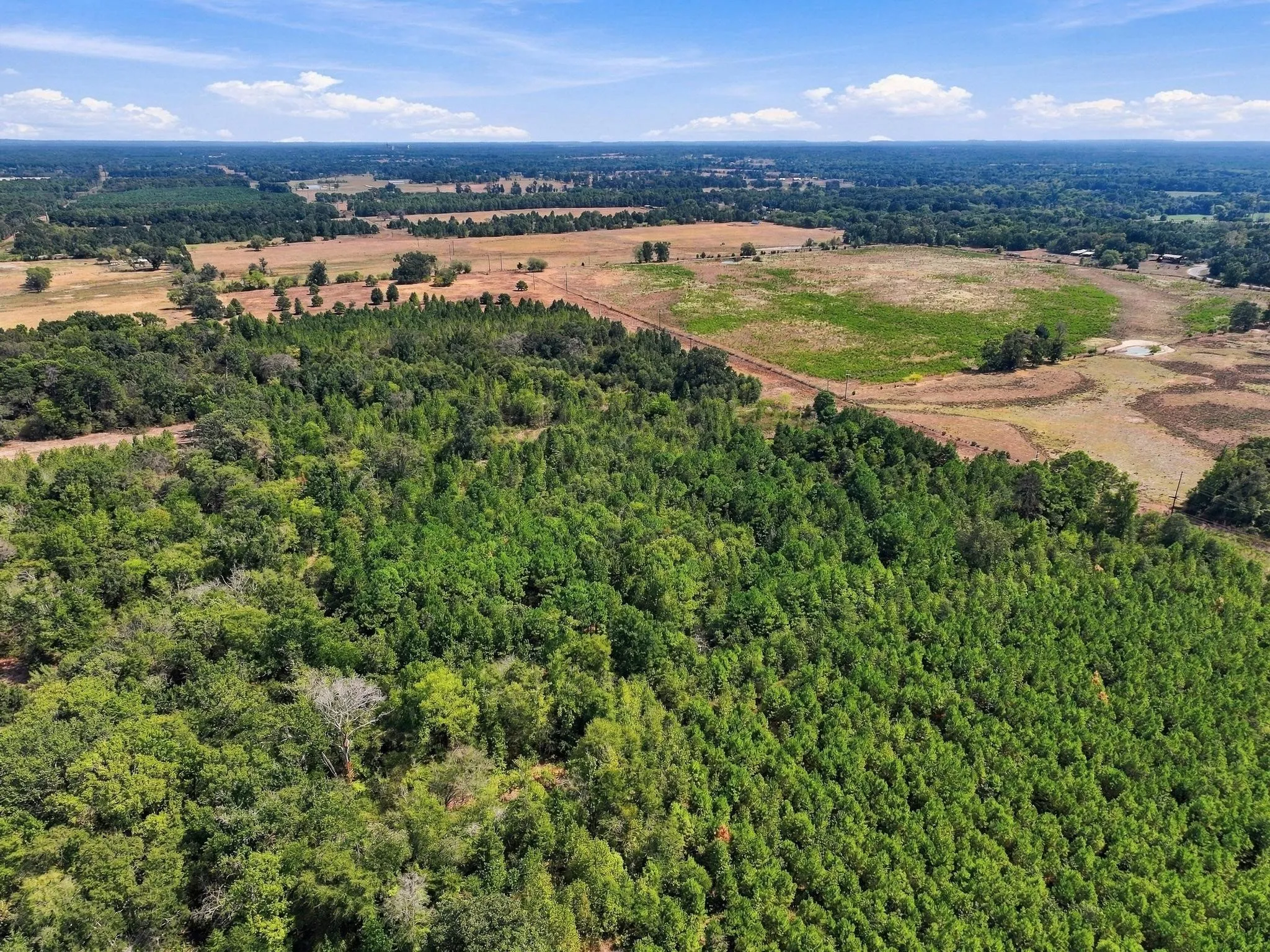 Improved Land For Sale in Camp County , 40.54acres TBD County Road 2314, Pittsburg, Texas 75686, 0, 0, Garage spaces, 0 Sqft, built in 0, mls#21406345, Real Estate Agent in Pittsburg, Homes For Sale in Camp county, Homes For Sale in Pittsburg, Realtor in Pittsburg Texas, Real Estate Brokerage Independent Realty Texas, Luminita Cordes Realtor