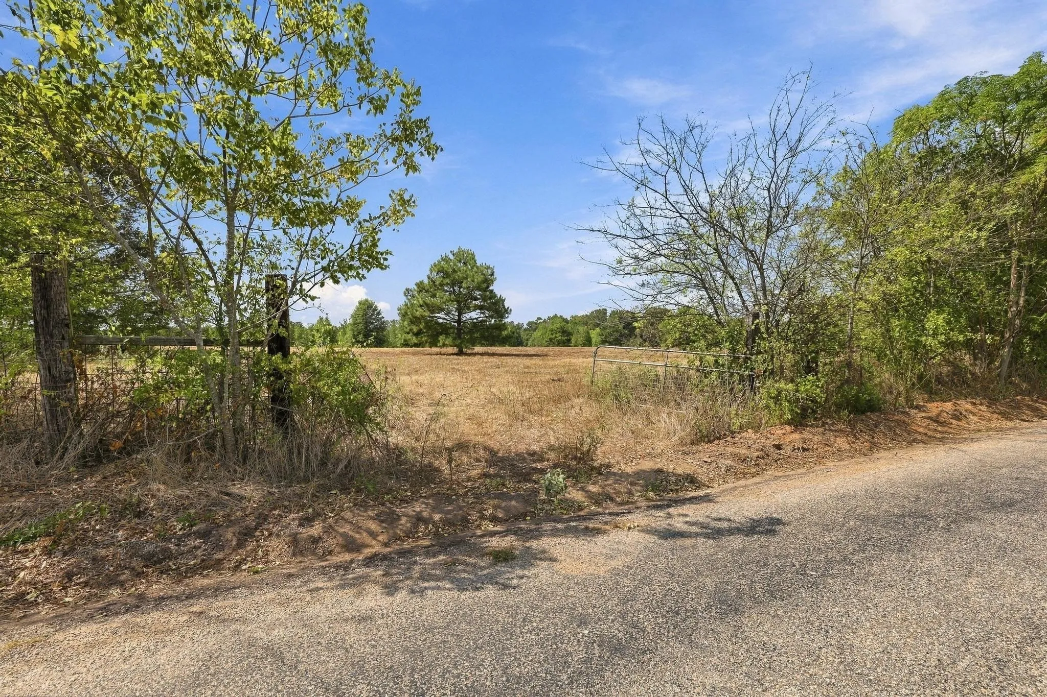 Improved Land For Sale in Camp County , 40.54acres TBD County Road 2314, Pittsburg, Texas 75686, 0, 0, Garage spaces, 0 Sqft, built in 0, mls#21406345, Real Estate Agent in Pittsburg, Homes For Sale in Camp county, Homes For Sale in Pittsburg, Realtor in Pittsburg Texas, Real Estate Brokerage Independent Realty Texas, Luminita Cordes Realtor