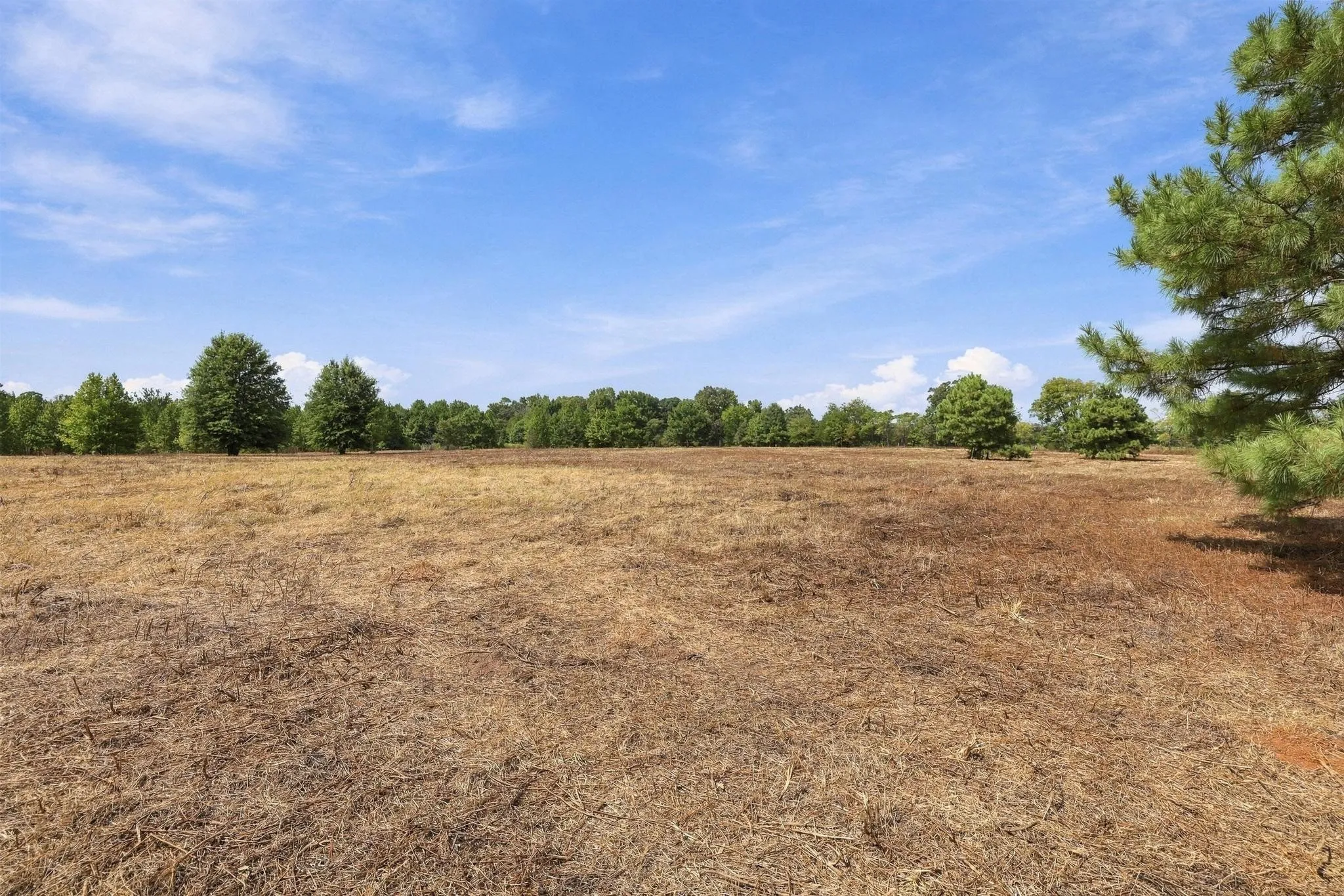 Improved Land For Sale in Camp County , 40.54acres TBD County Road 2314, Pittsburg, Texas 75686, 0, 0, Garage spaces, 0 Sqft, built in 0, mls#21406345, Real Estate Agent in Pittsburg, Homes For Sale in Camp county, Homes For Sale in Pittsburg, Realtor in Pittsburg Texas, Real Estate Brokerage Independent Realty Texas, Luminita Cordes Realtor