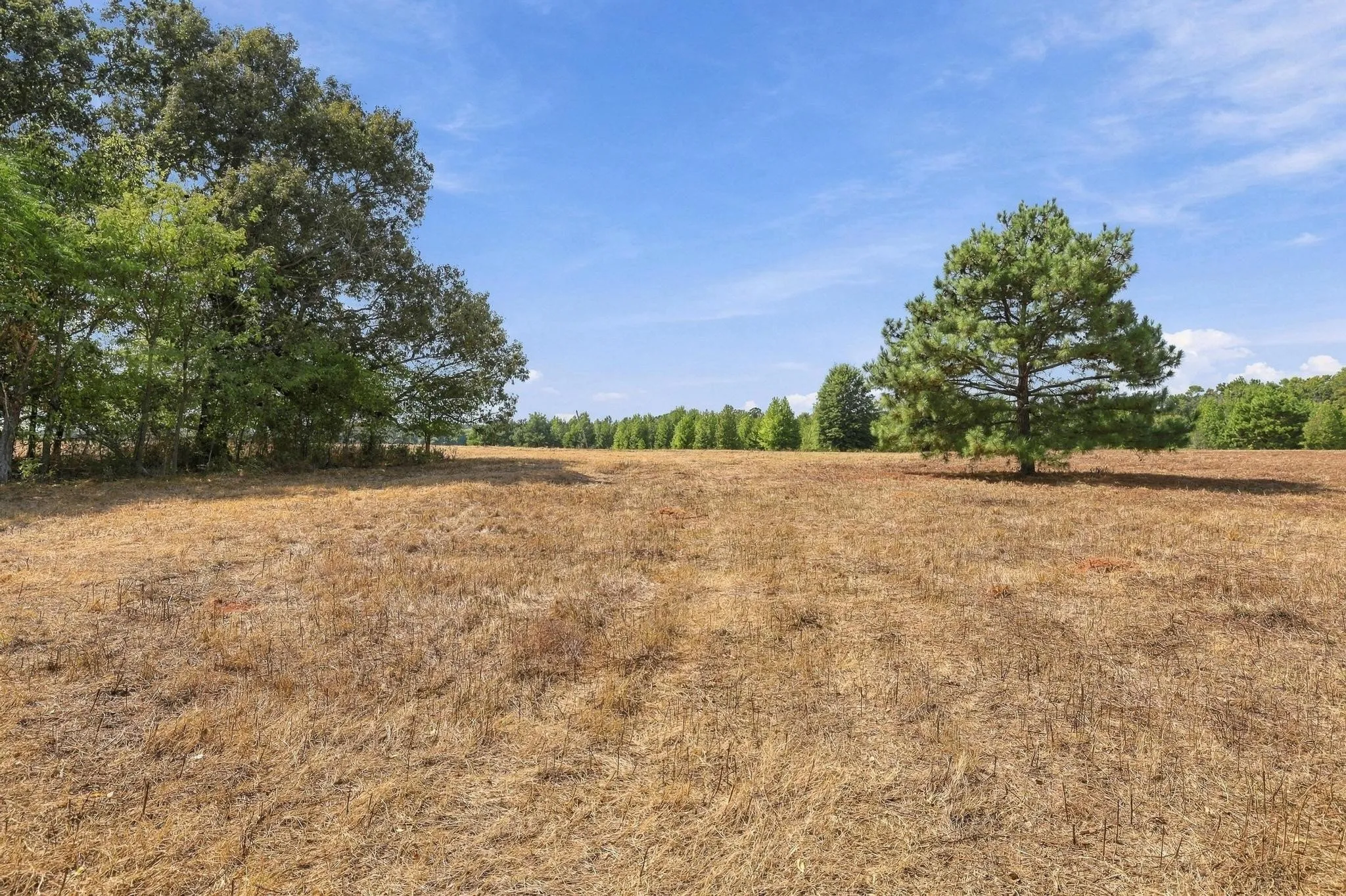 Improved Land For Sale in Camp County , 40.54acres TBD County Road 2314, Pittsburg, Texas 75686, 0, 0, Garage spaces, 0 Sqft, built in 0, mls#21406345, Real Estate Agent in Pittsburg, Homes For Sale in Camp county, Homes For Sale in Pittsburg, Realtor in Pittsburg Texas, Real Estate Brokerage Independent Realty Texas, Luminita Cordes Realtor