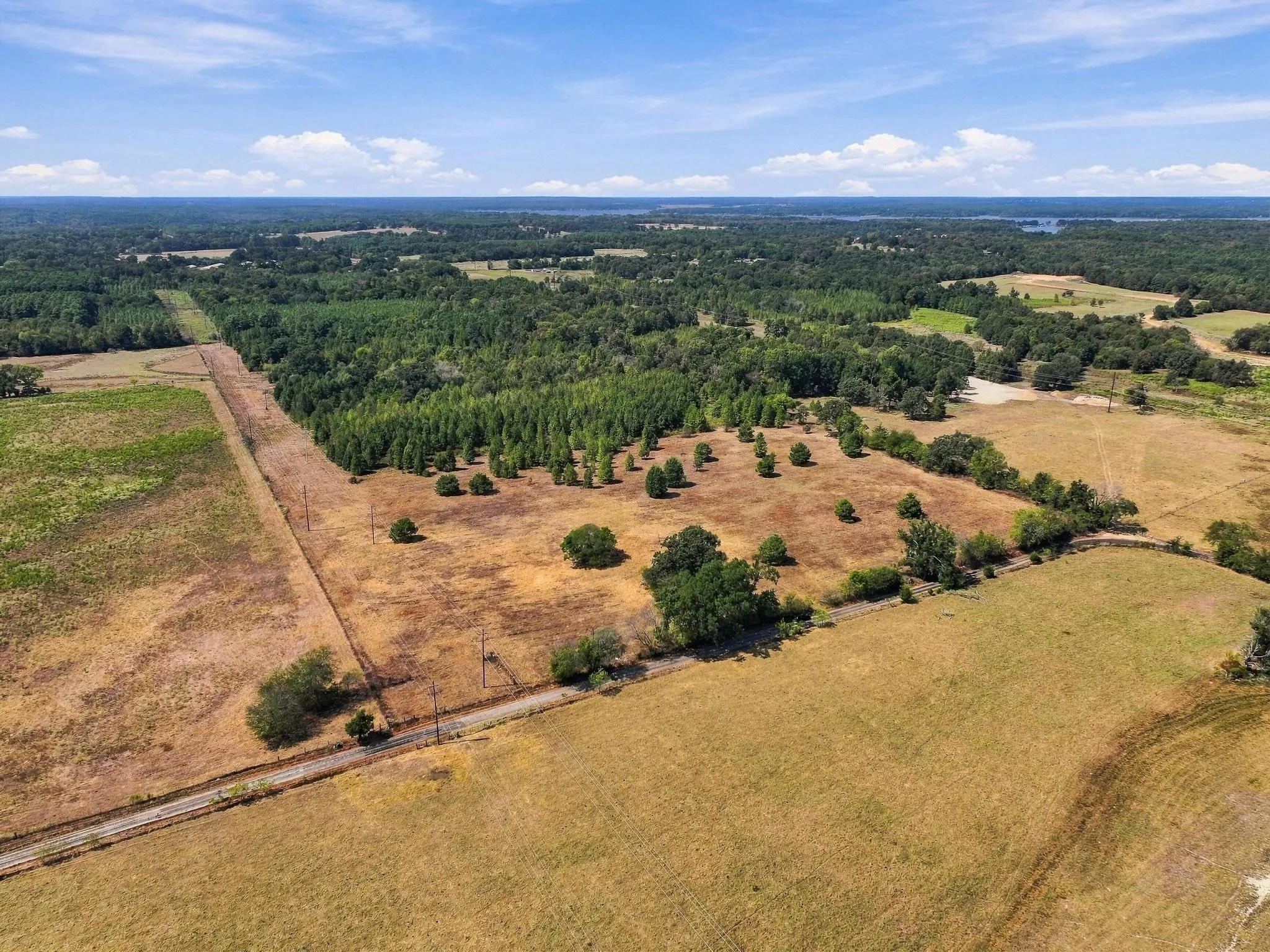 Improved Land For Sale in Camp County , 40.54acres TBD County Road 2314, Pittsburg, Texas 75686, 0, 0, Garage spaces, 0 Sqft, built in 0, mls#21406345, Real Estate Agent in Pittsburg, Homes For Sale in Camp county, Homes For Sale in Pittsburg, Realtor in Pittsburg Texas, Real Estate Brokerage Independent Realty Texas, Luminita Cordes Realtor