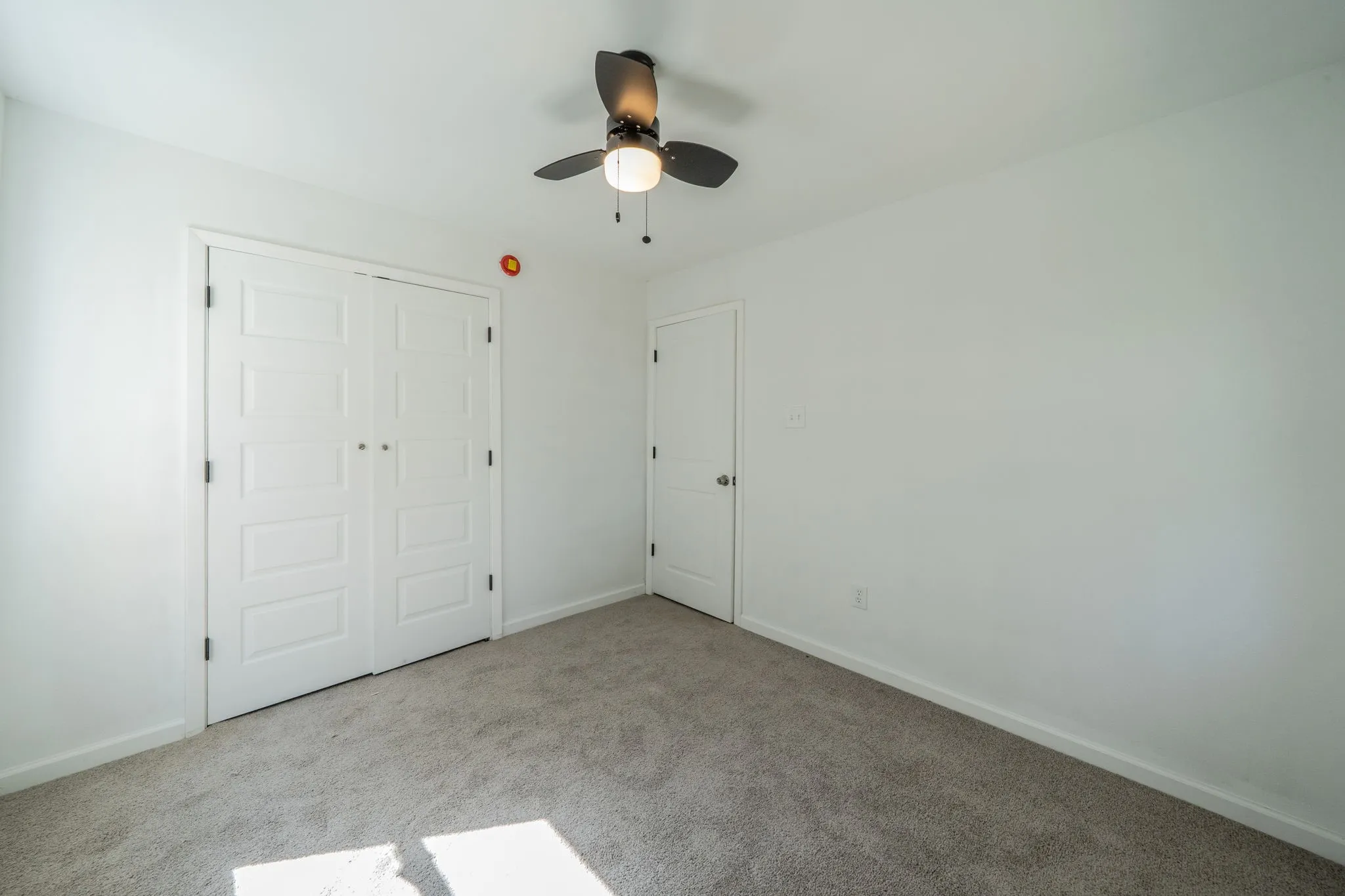 Spacious bedroom offering neutral wall finishes, carpeted flooring, and abundant natural light