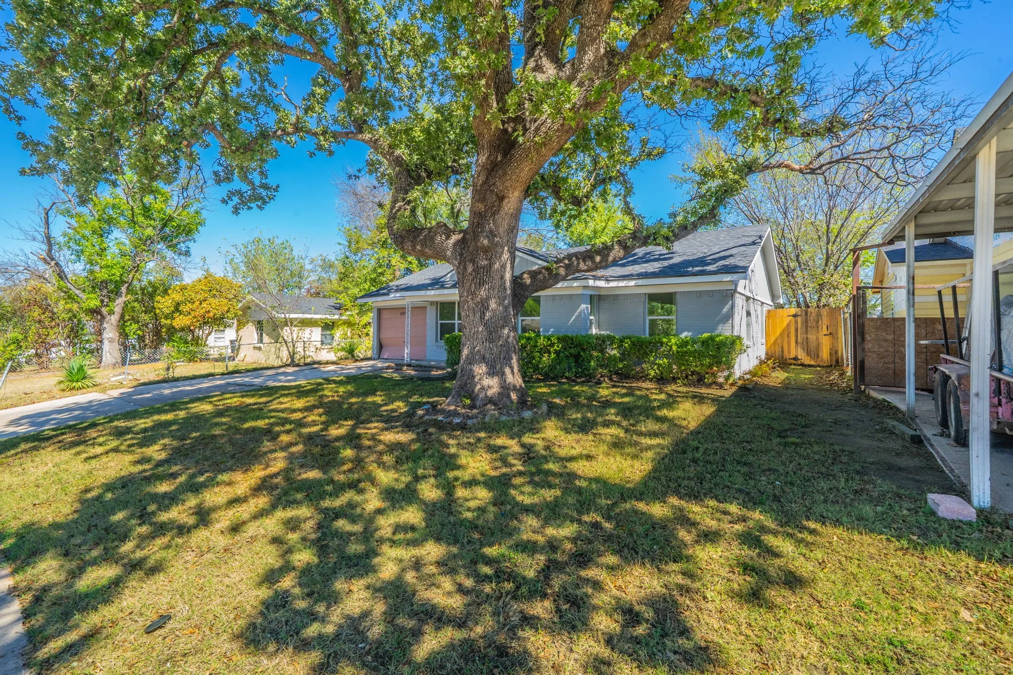 Expansive front lawn featuring a mature tree, concrete driveway, and established shrubbery